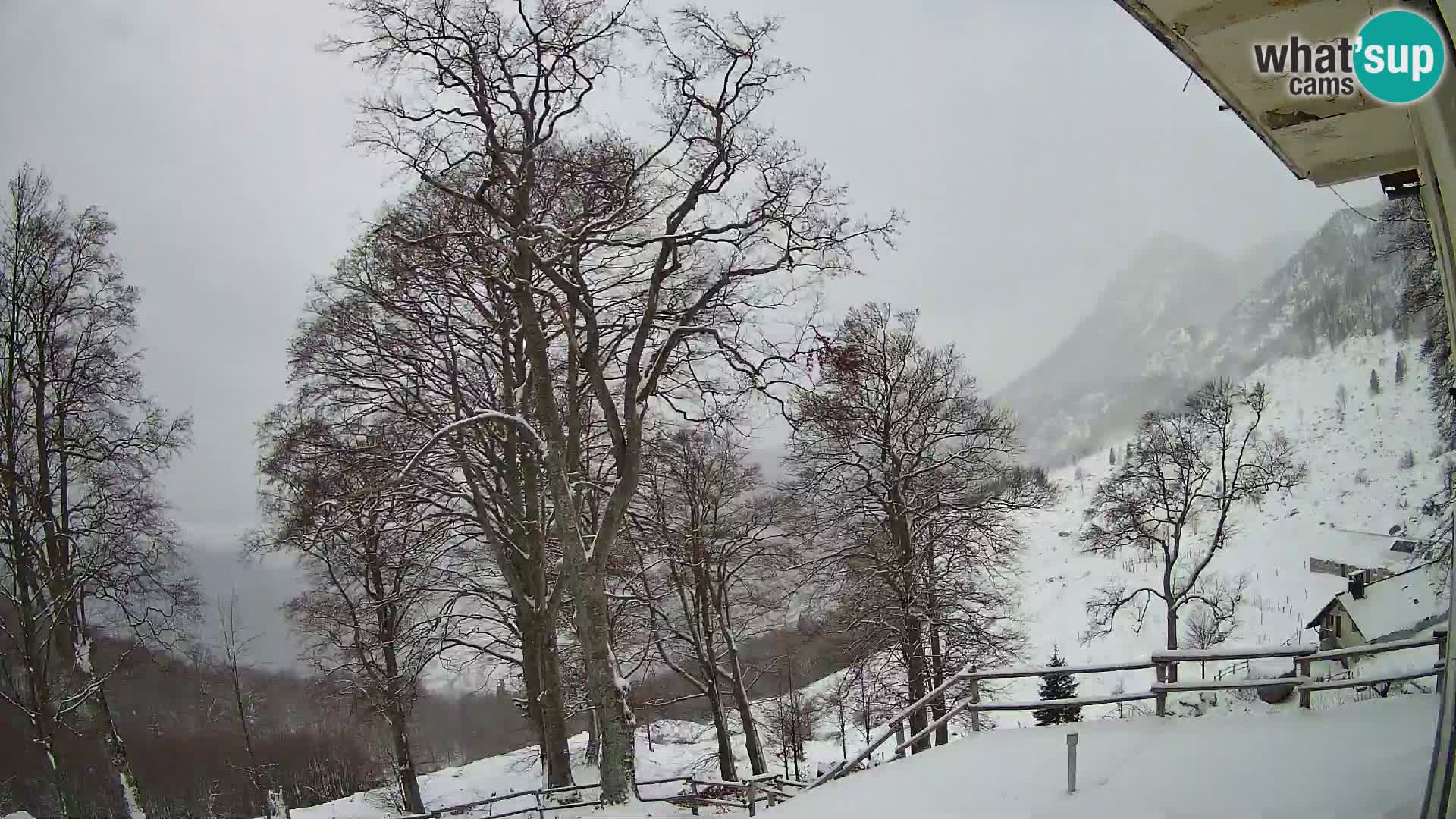Cámara en vivo de la cabaña de montaña Planina Razor (1315) | vista hacia Tolminski Migovec