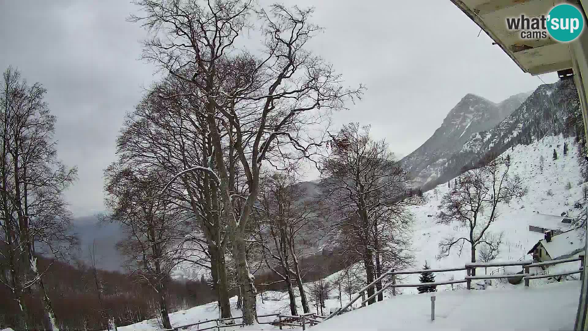 Planinarski dom na planini Razor (1315) | Pogled na Tolminski Migovec