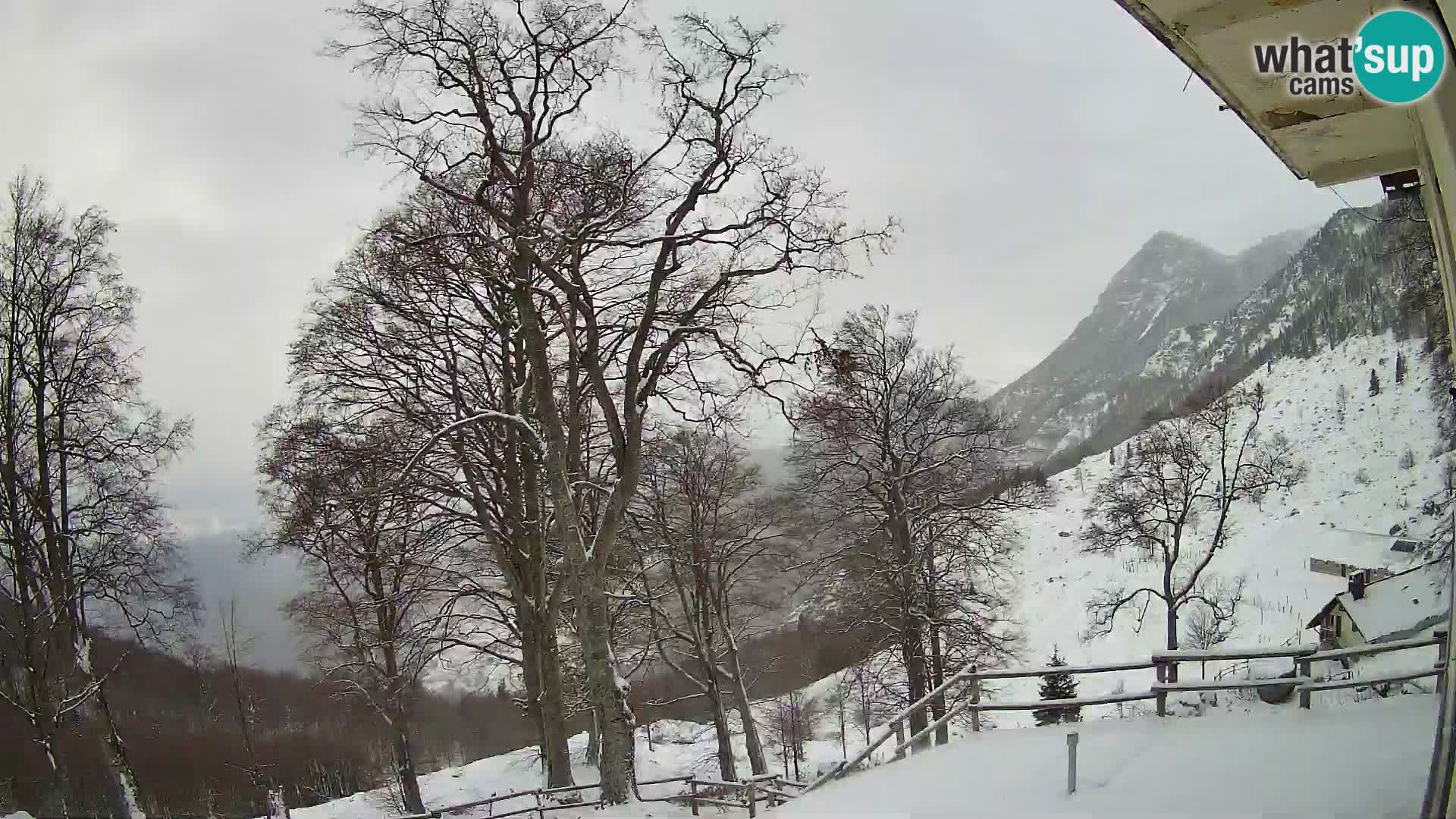 Planina Razor Mountain Hut live cam (1315) | view to Tolminski Migovec