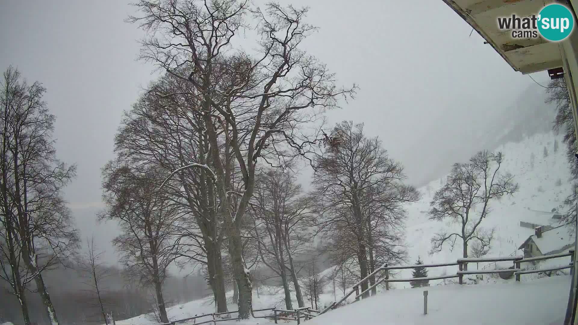 Baita di montagna Planina Razor webcam (1315) | vista su Tolminski Migovec