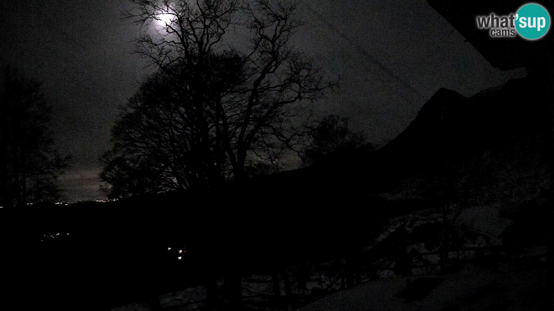 Planina Razor Bergütte Webcam (1315) | Blick auf Tolminski Migovec