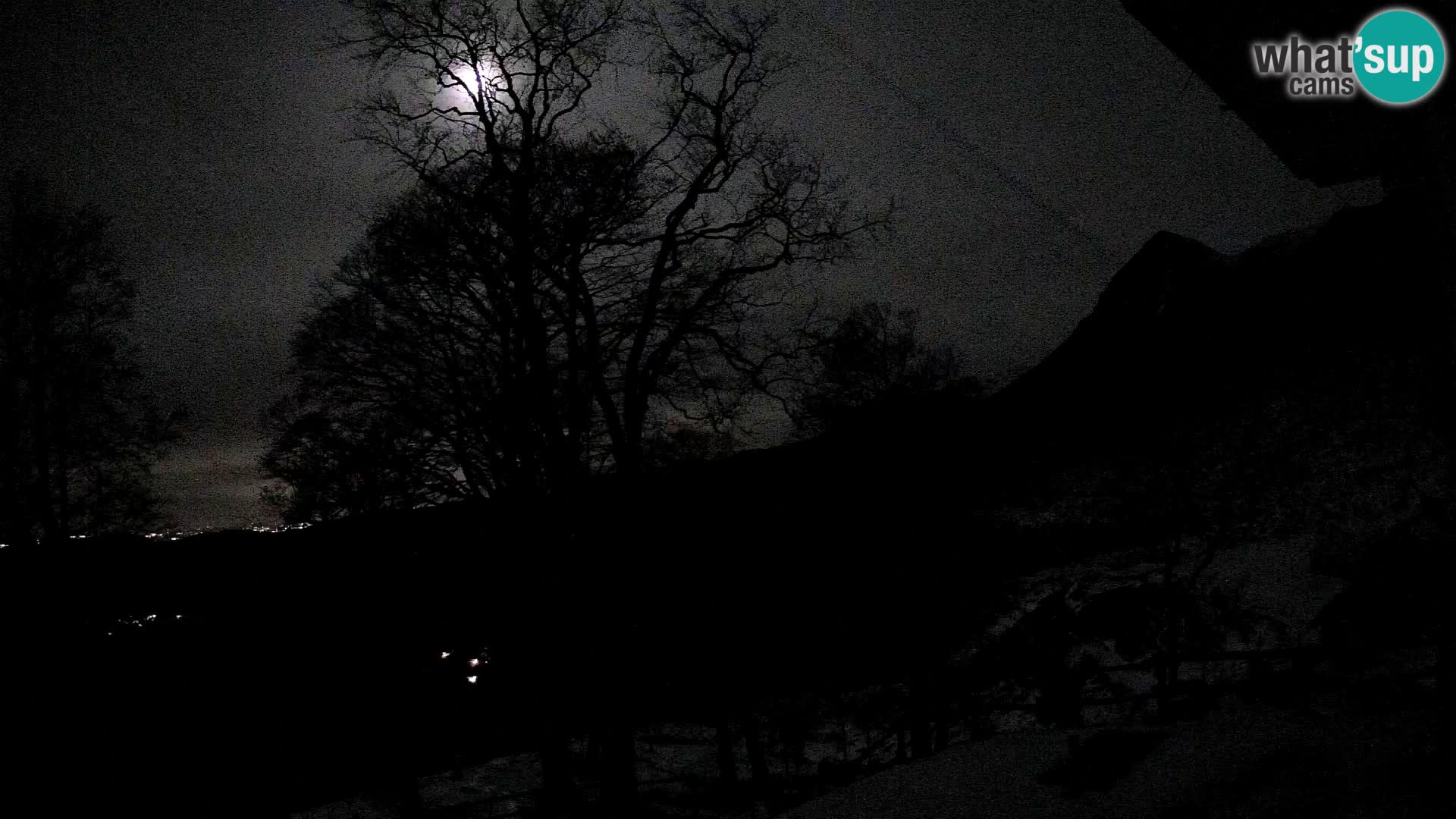 Baita di montagna Planina Razor webcam (1315) | vista su Tolminski Migovec