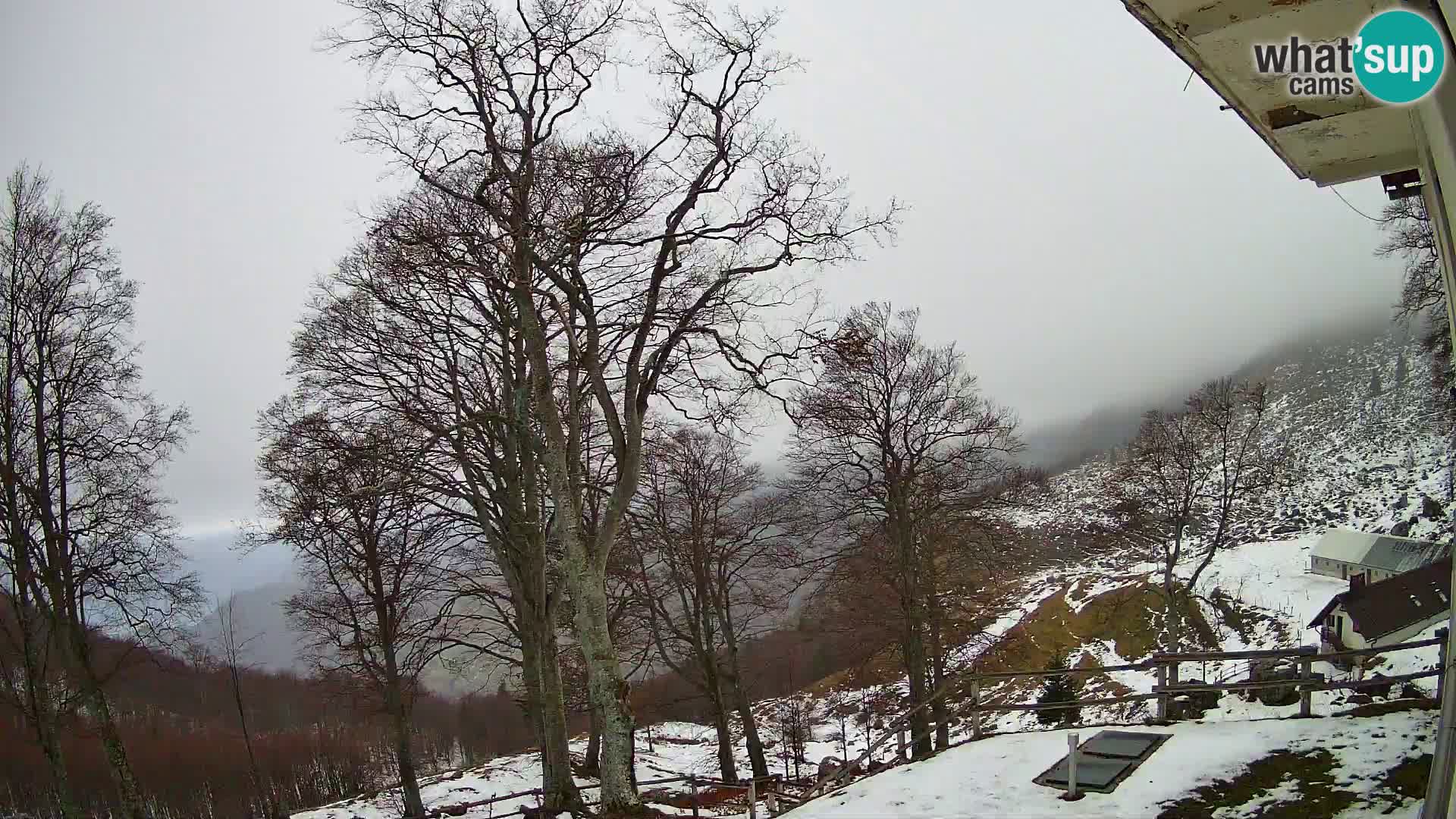Cámara en vivo de la cabaña de montaña Planina Razor (1315) | vista hacia Tolminski Migovec