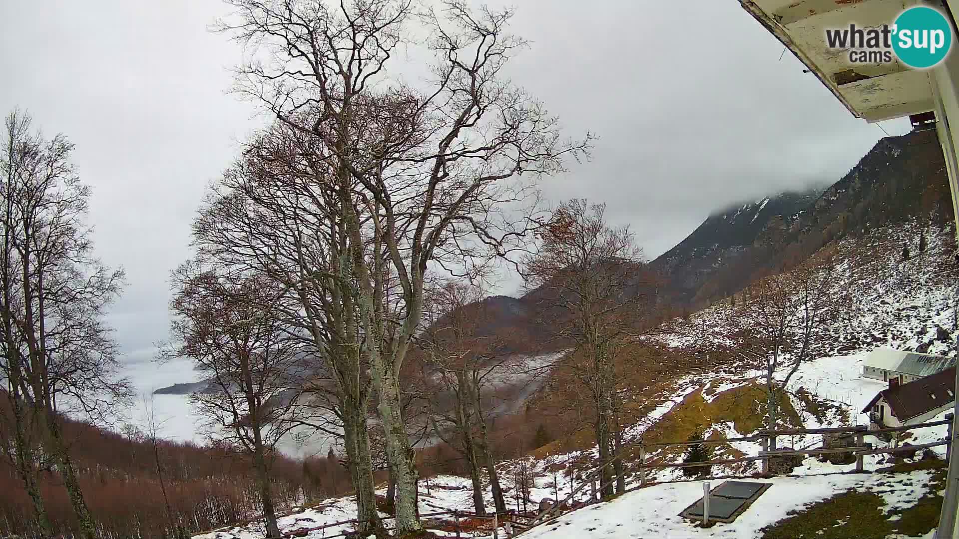 Baita di montagna Planina Razor webcam (1315) | vista su Tolminski Migovec