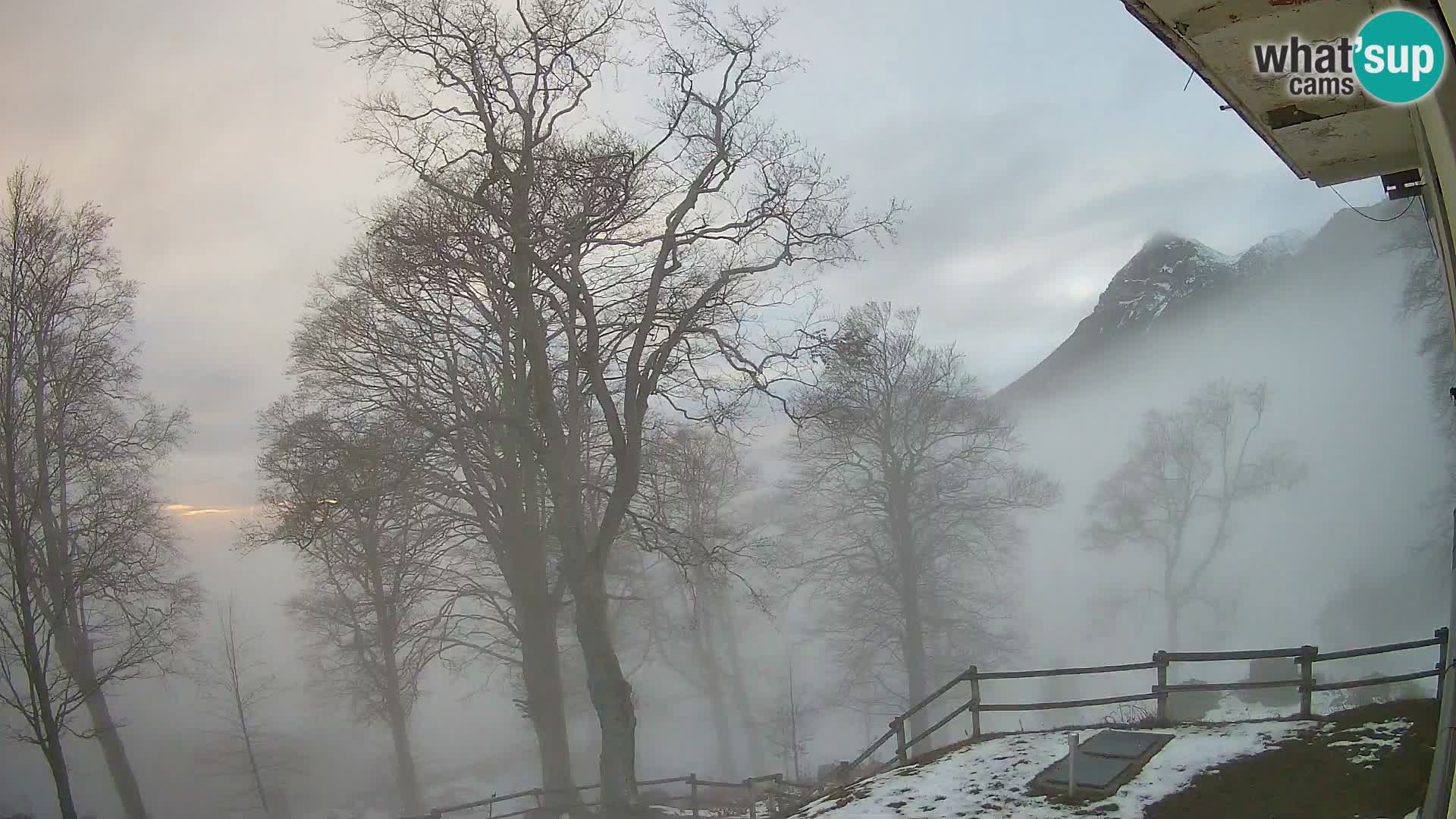 Planina Razor Bergütte Webcam (1315) | Blick auf Tolminski Migovec