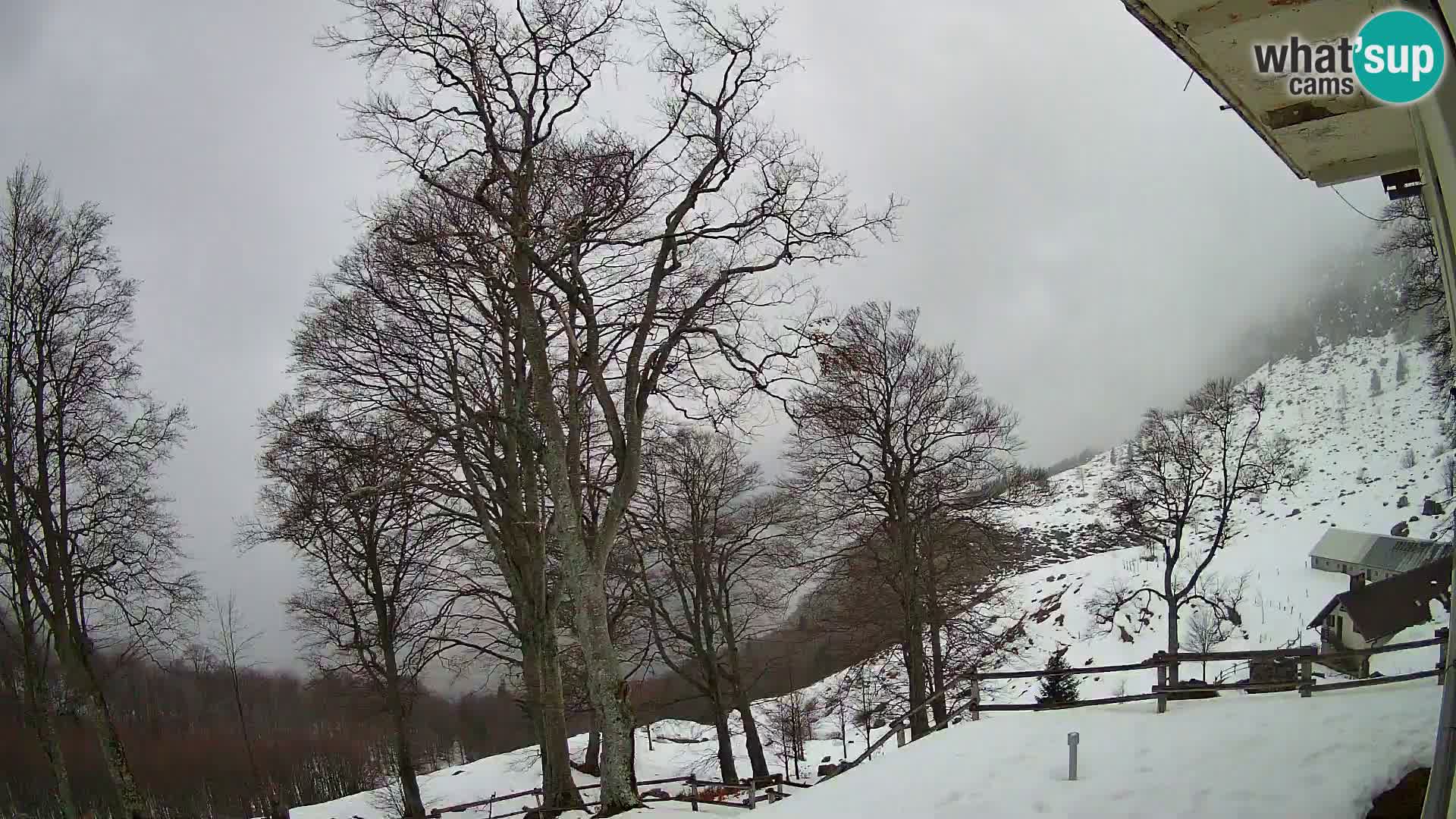 Planina Razor Mountain Hut live cam (1315) | view to Tolminski Migovec