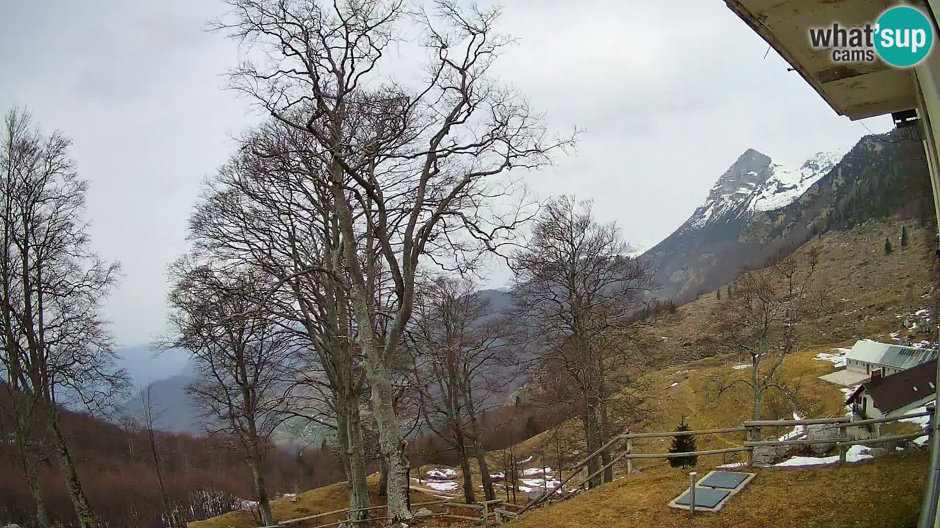 Planina Razor Bergütte Webcam (1315) | Blick auf Tolminski Migovec