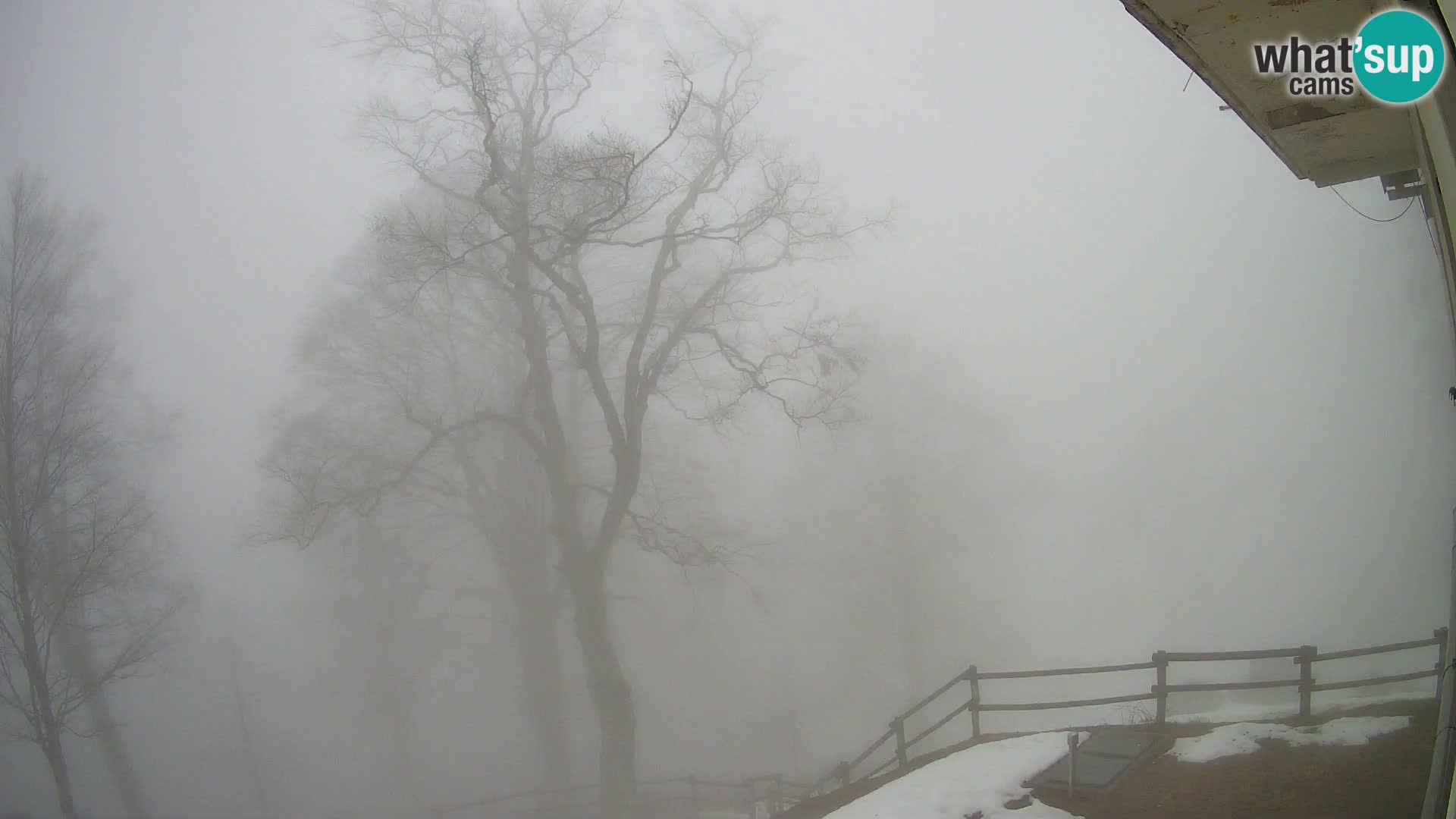 Planina Razor Bergütte Webcam (1315) | Blick auf Tolminski Migovec