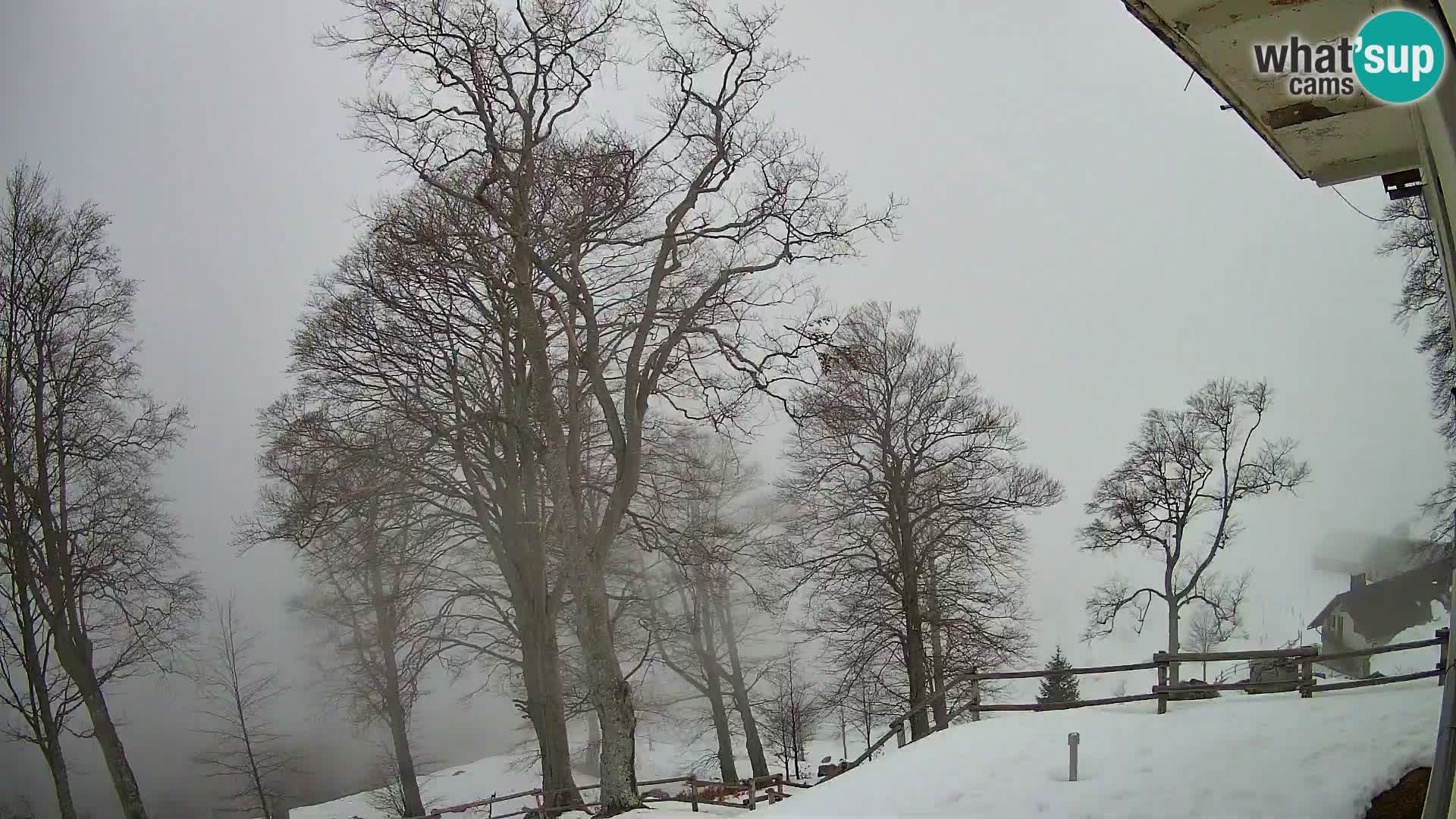 Baita di montagna Planina Razor webcam (1315) | vista su Tolminski Migovec