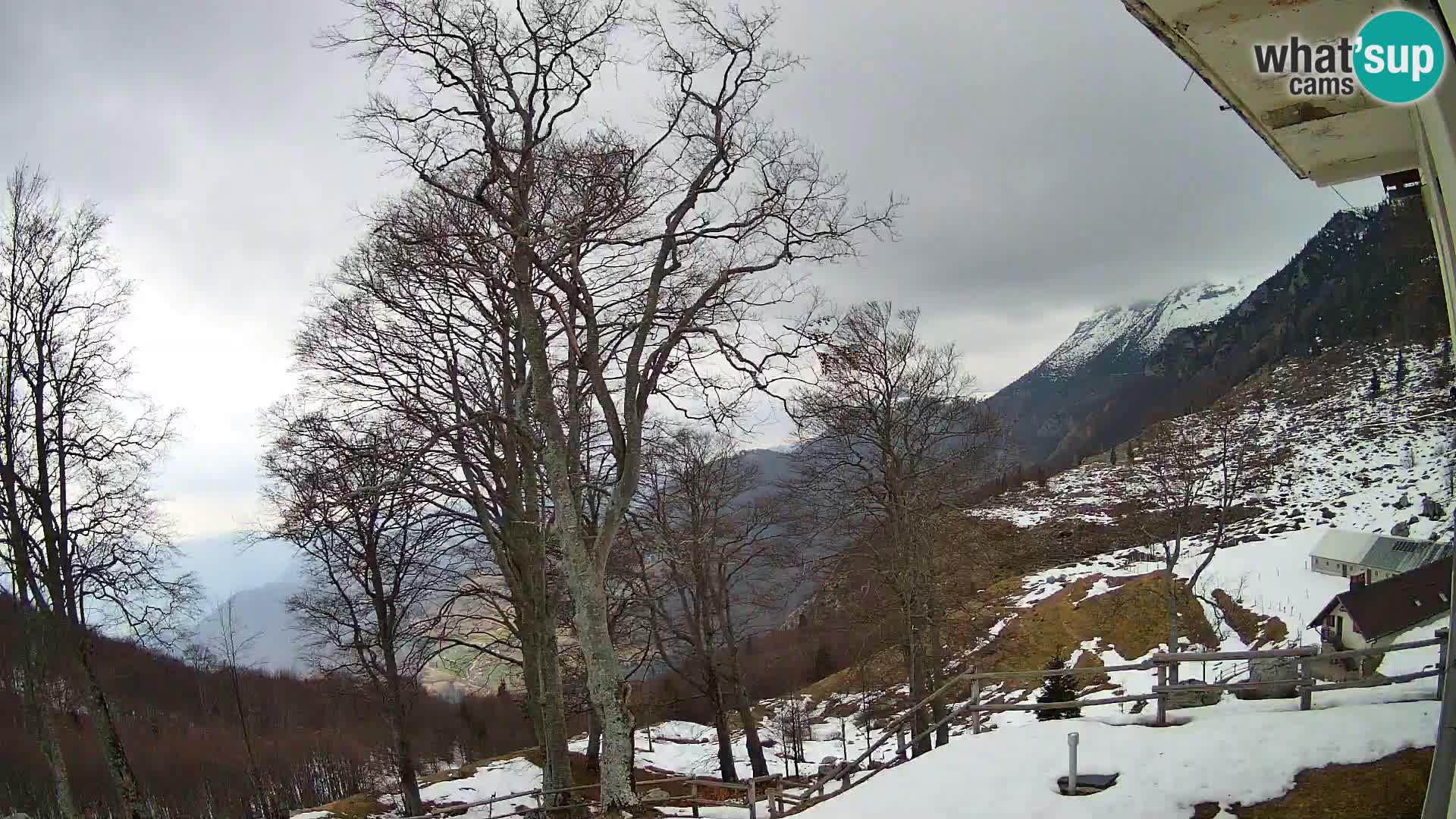 Planina Razor Mountain Hut live cam (1315) | view to Tolminski Migovec