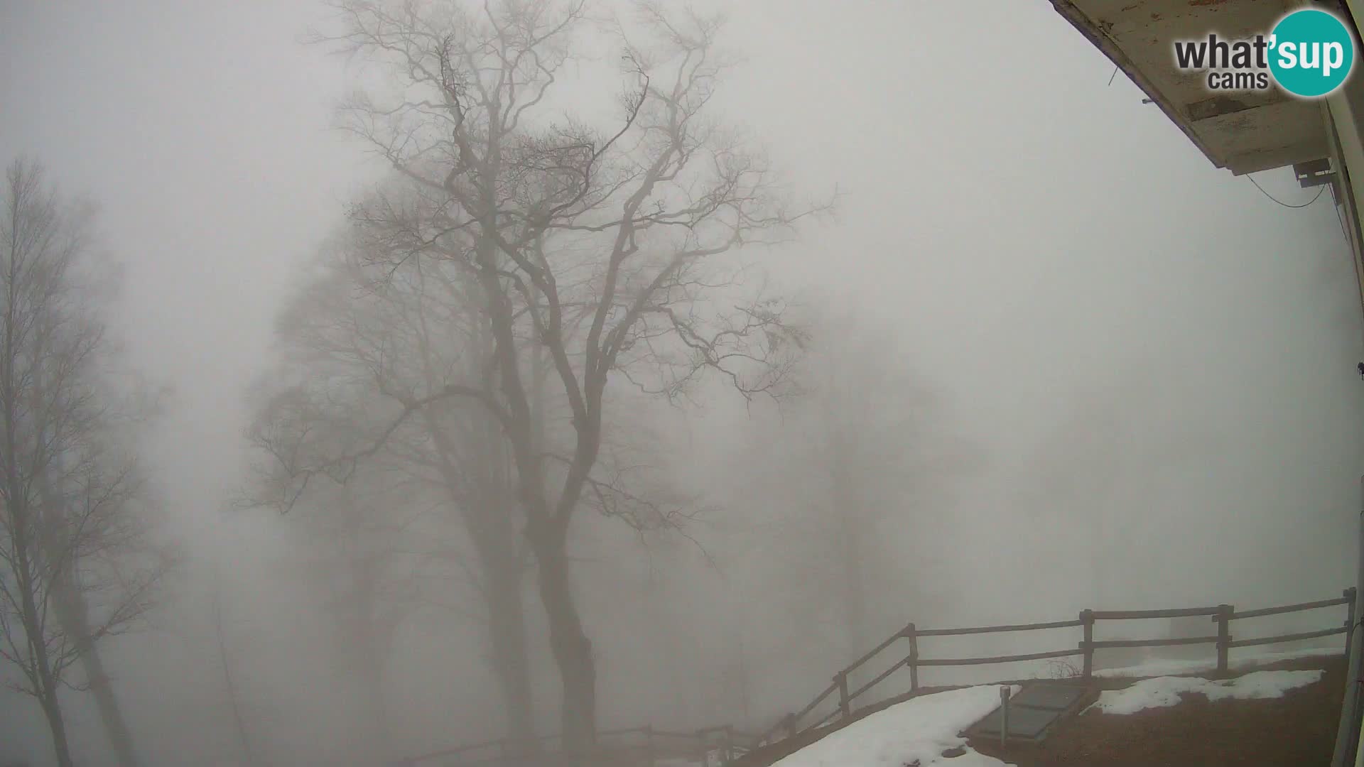 Planina Razor Mountain Hut live cam (1315) | view to Tolminski Migovec