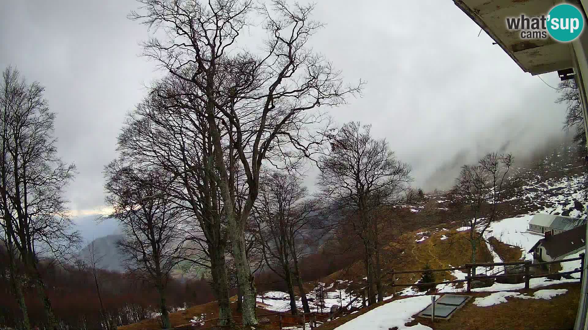 Cámara en vivo de la cabaña de montaña Planina Razor (1315) | vista hacia Tolminski Migovec