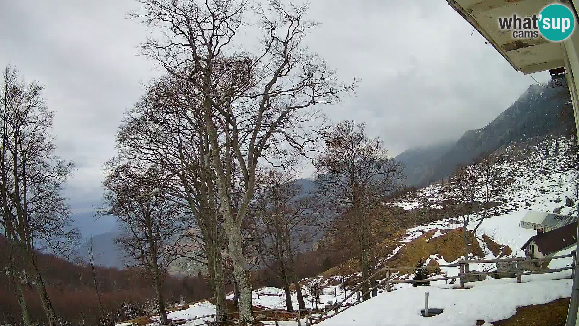 Koča na Planini Razor spletna kamera (1315) | Pogled na Tolminski Migovec