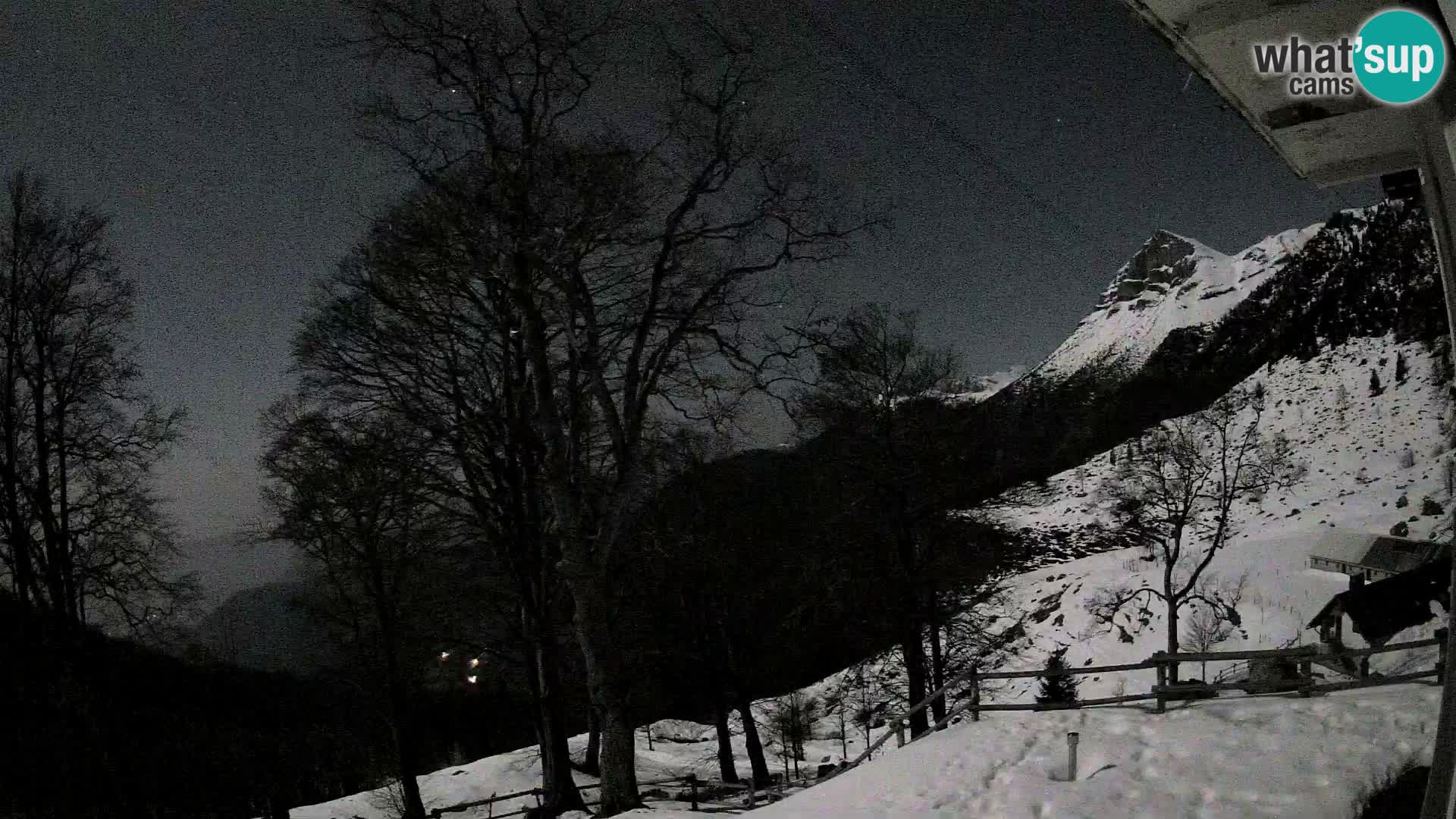 Baita di montagna Planina Razor webcam (1315) | vista su Tolminski Migovec