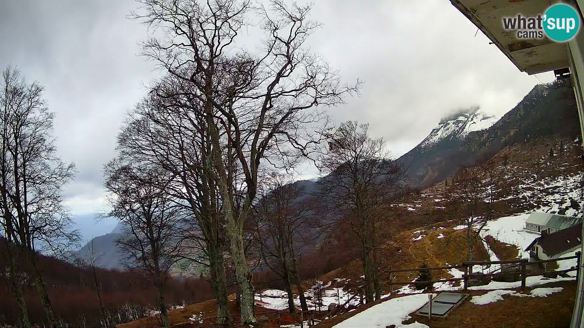 Baita di montagna Planina Razor webcam (1315) | vista su Tolminski Migovec