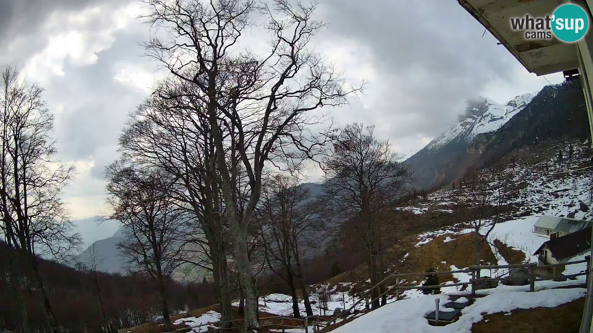 Cámara en vivo de la cabaña de montaña Planina Razor (1315) | vista hacia Tolminski Migovec