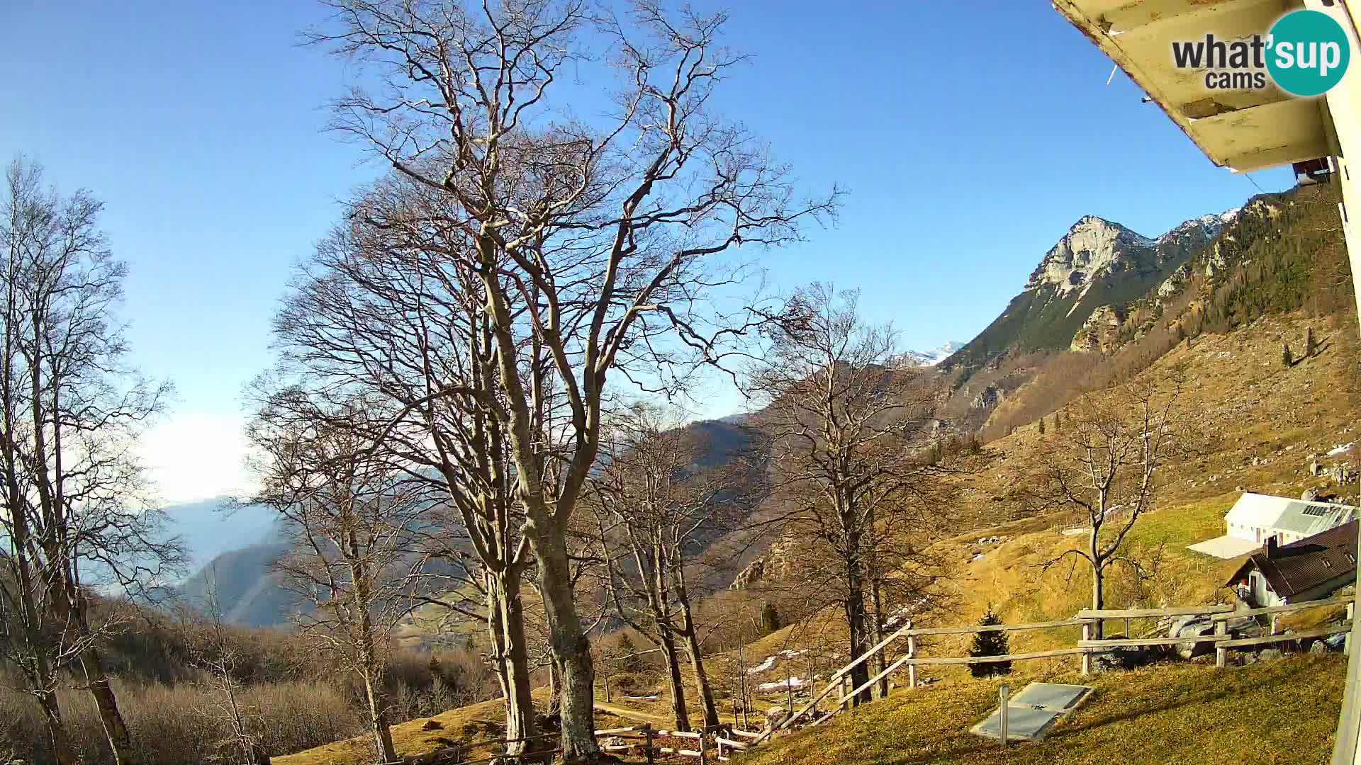 Planina Razor Bergütte Webcam (1315) | Blick auf Tolminski Migovec