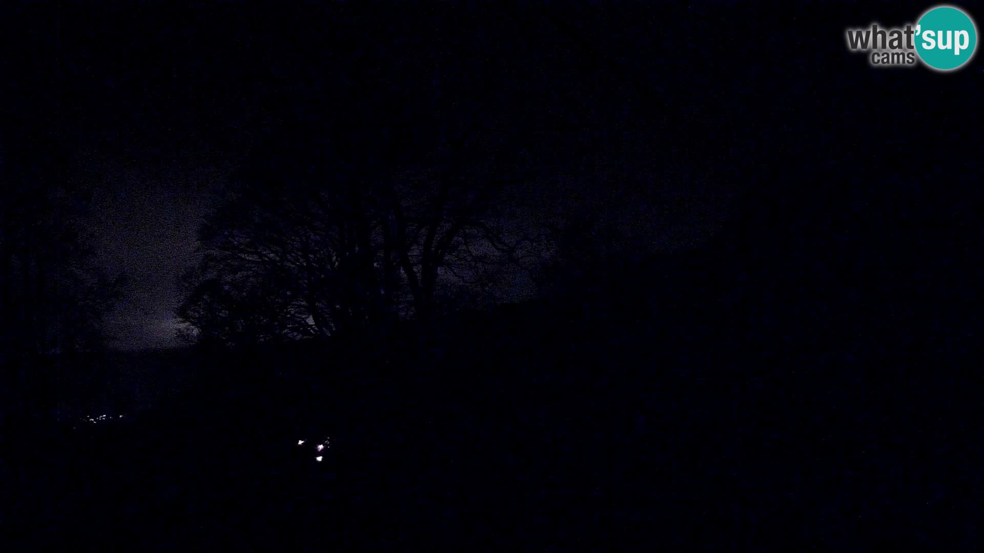 Cámara en vivo de la cabaña de montaña Planina Razor (1315) | vista hacia Tolminski Migovec