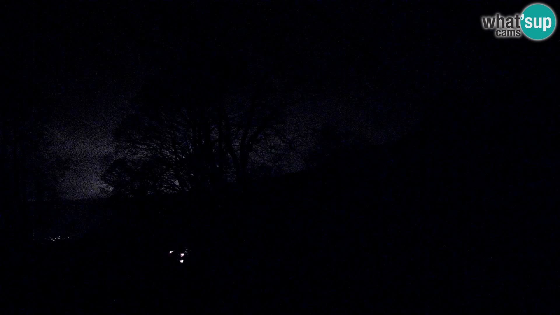 Cámara en vivo de la cabaña de montaña Planina Razor (1315) | vista hacia Tolminski Migovec