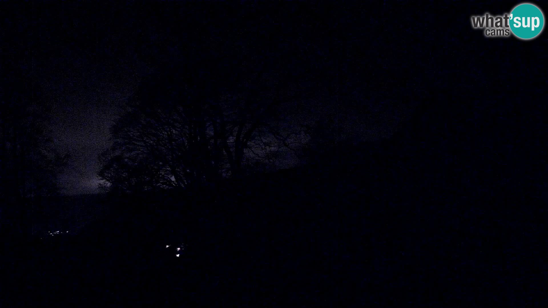 Koča na Planini Razor spletna kamera (1315) | Pogled na Tolminski Migovec