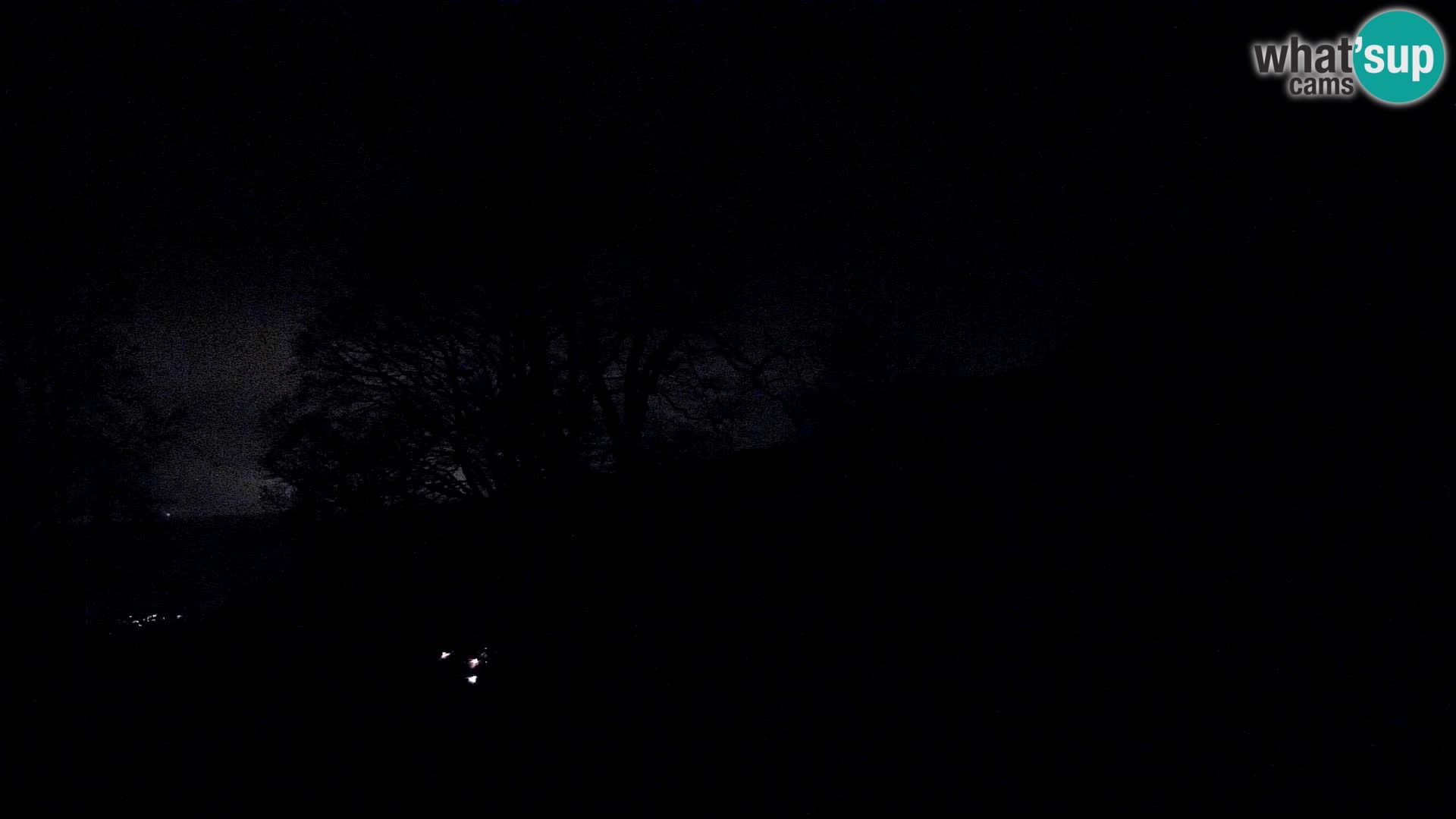 Baita di montagna Planina Razor webcam (1315) | vista su Tolminski Migovec