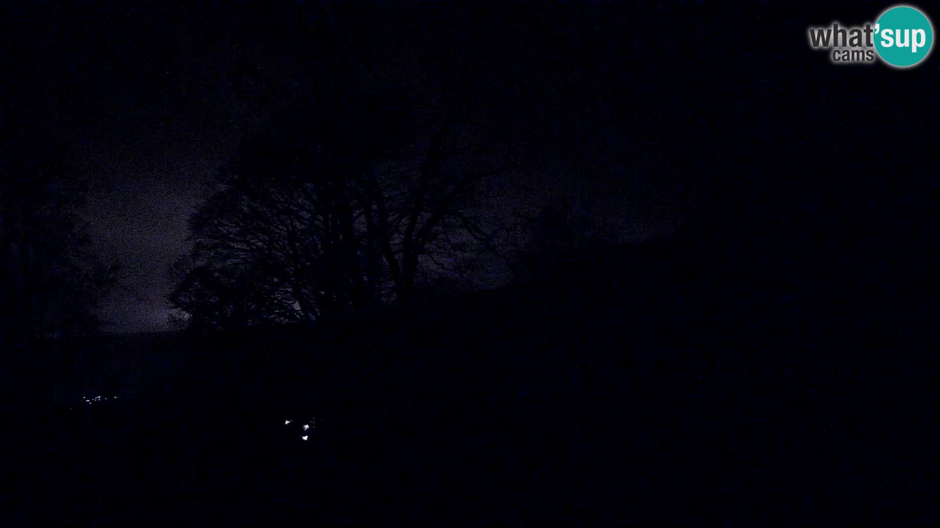 Cámara en vivo de la cabaña de montaña Planina Razor (1315) | vista hacia Tolminski Migovec