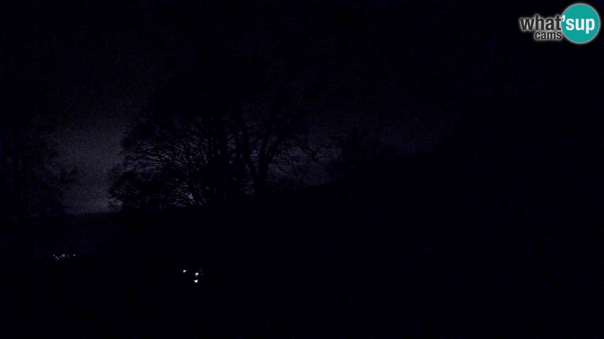 Planina Razor Bergütte Webcam (1315) | Blick auf Tolminski Migovec