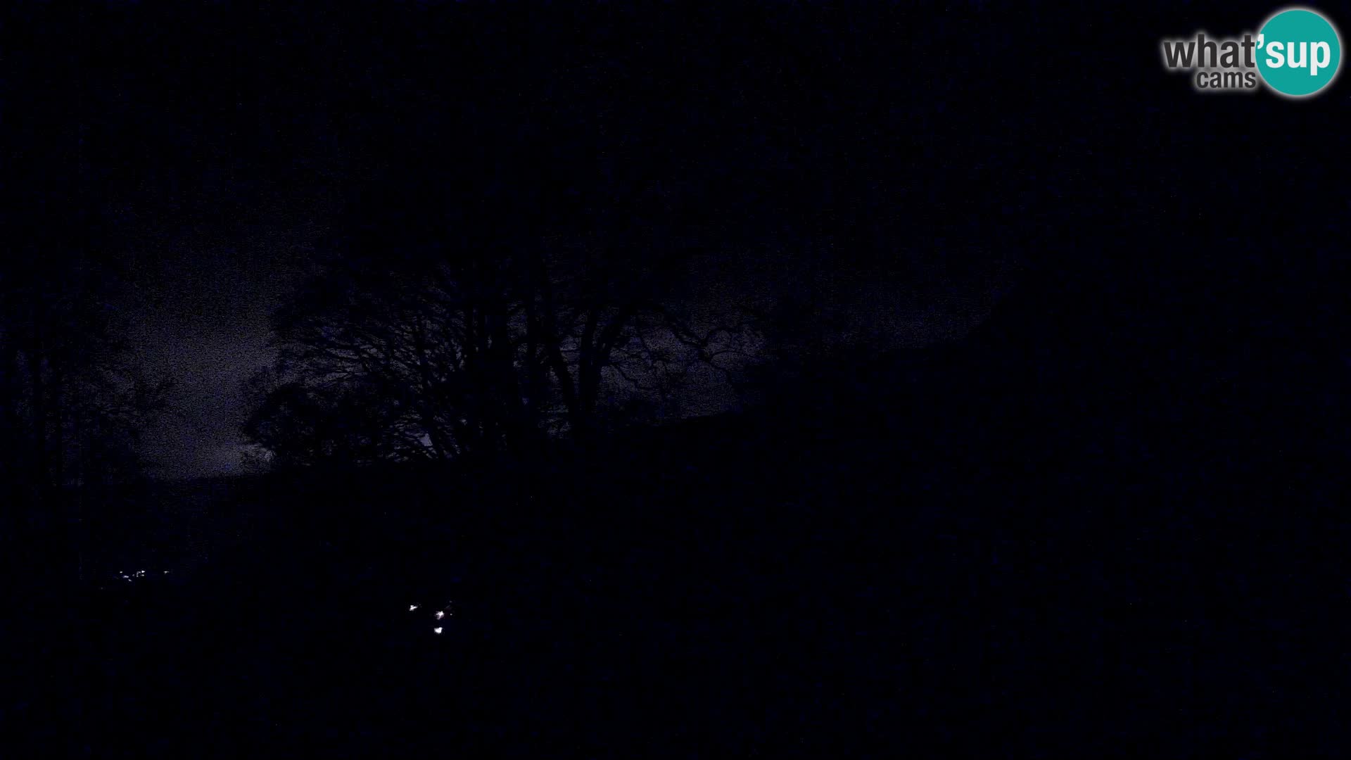 Koča na Planini Razor spletna kamera (1315) | Pogled na Tolminski Migovec