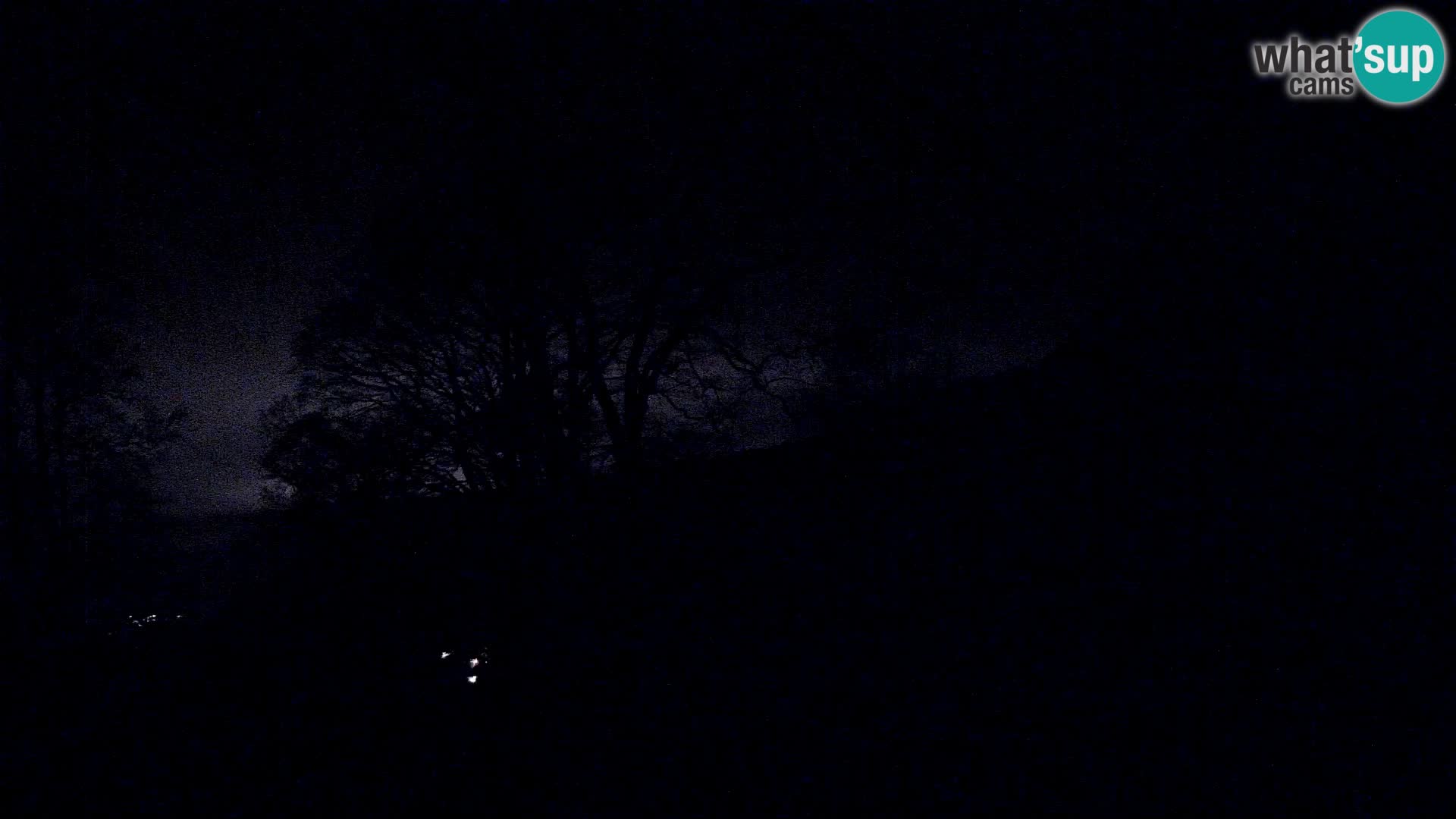 Baita di montagna Planina Razor webcam (1315) | vista su Tolminski Migovec