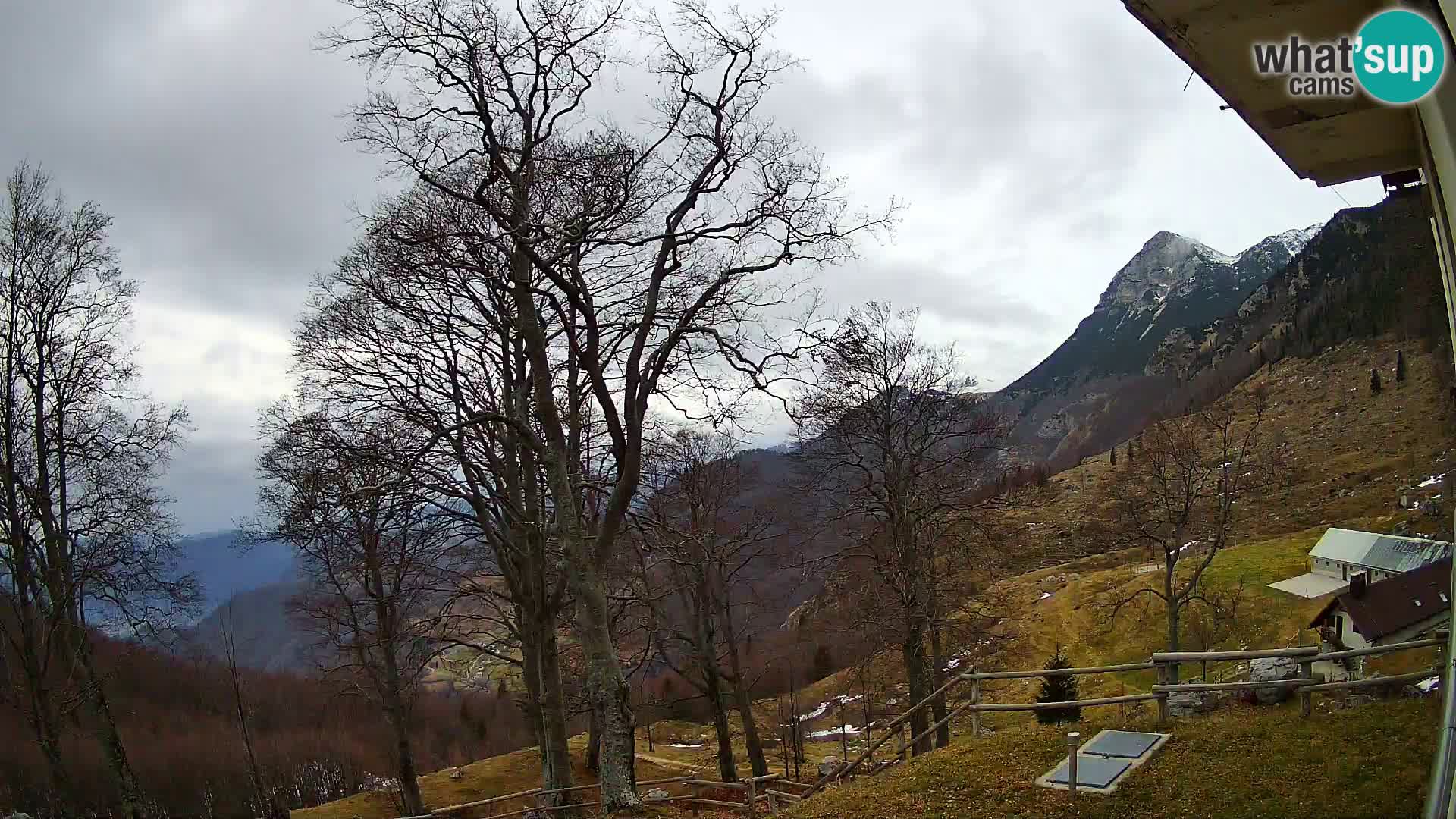 Cámara en vivo de la cabaña de montaña Planina Razor (1315) | vista hacia Tolminski Migovec