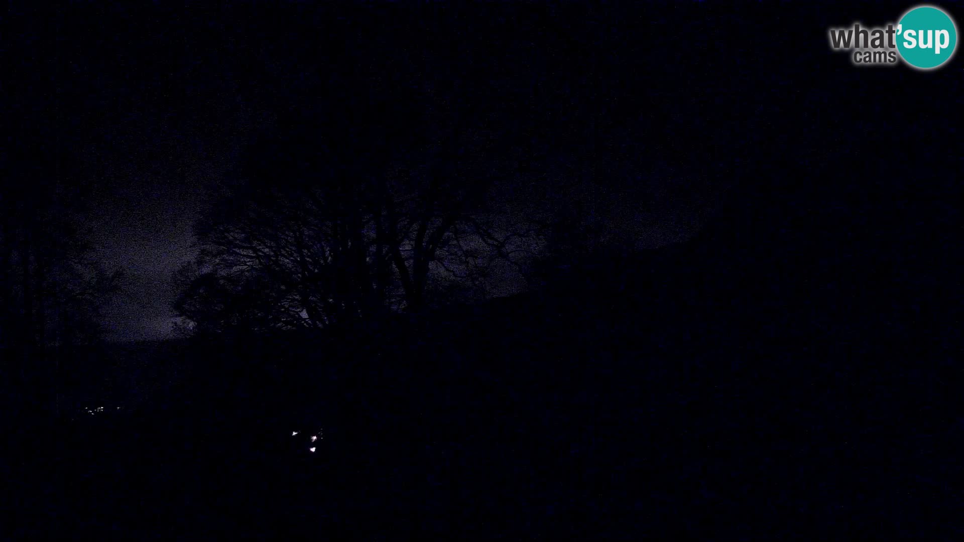 Planina Razor Bergütte Webcam (1315) | Blick auf Tolminski Migovec