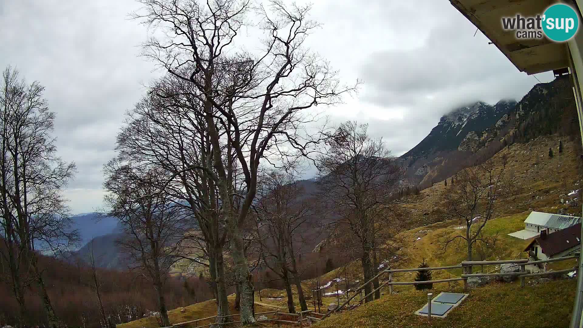 Planina Razor Bergütte Webcam (1315) | Blick auf Tolminski Migovec