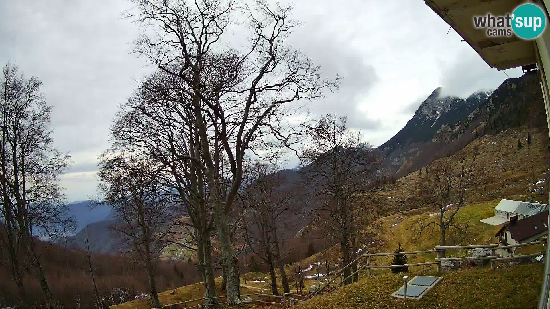 Baita di montagna Planina Razor webcam (1315) | vista su Tolminski Migovec