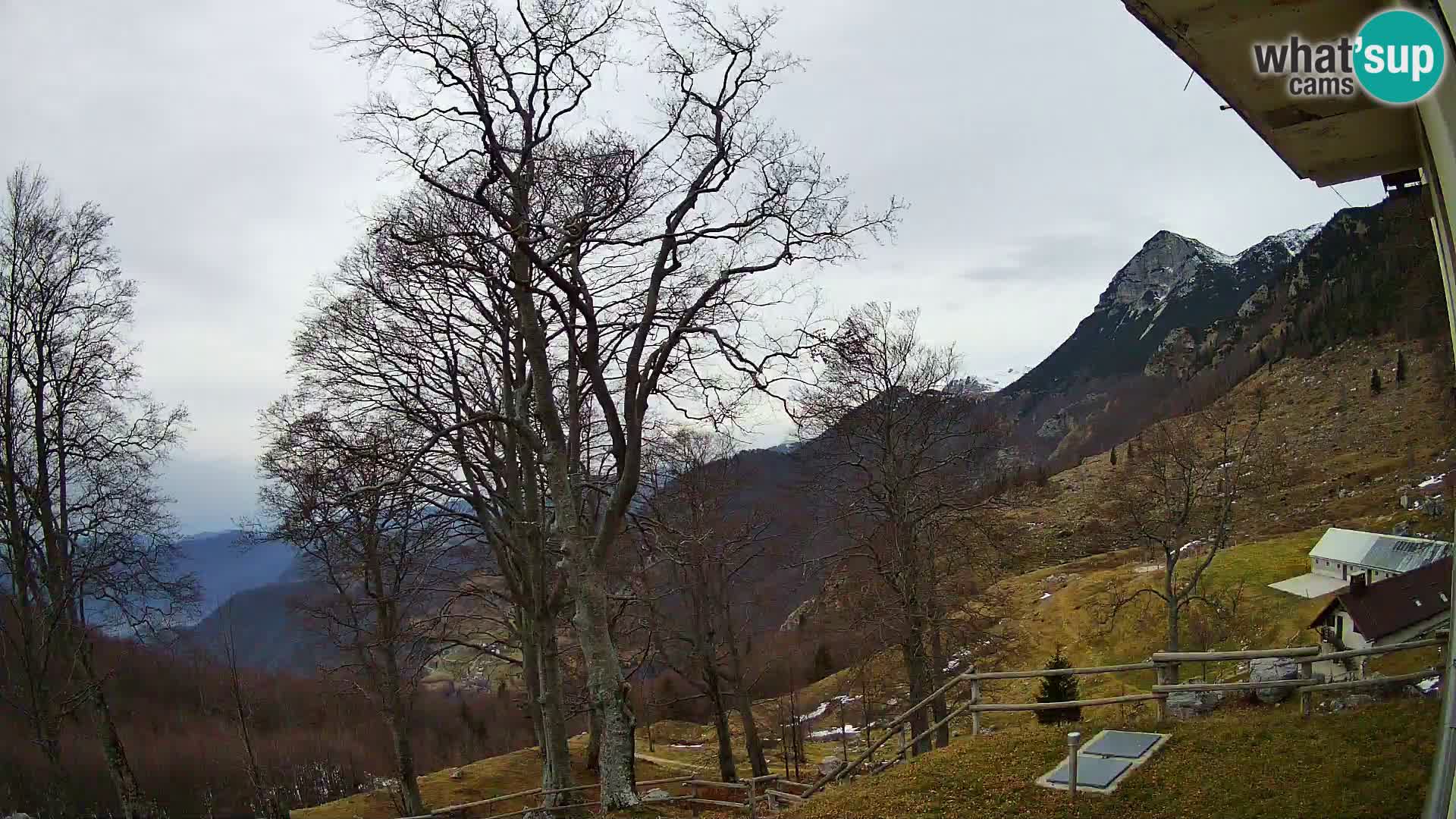 Planina Razor Mountain Hut live cam (1315) | view to Tolminski Migovec