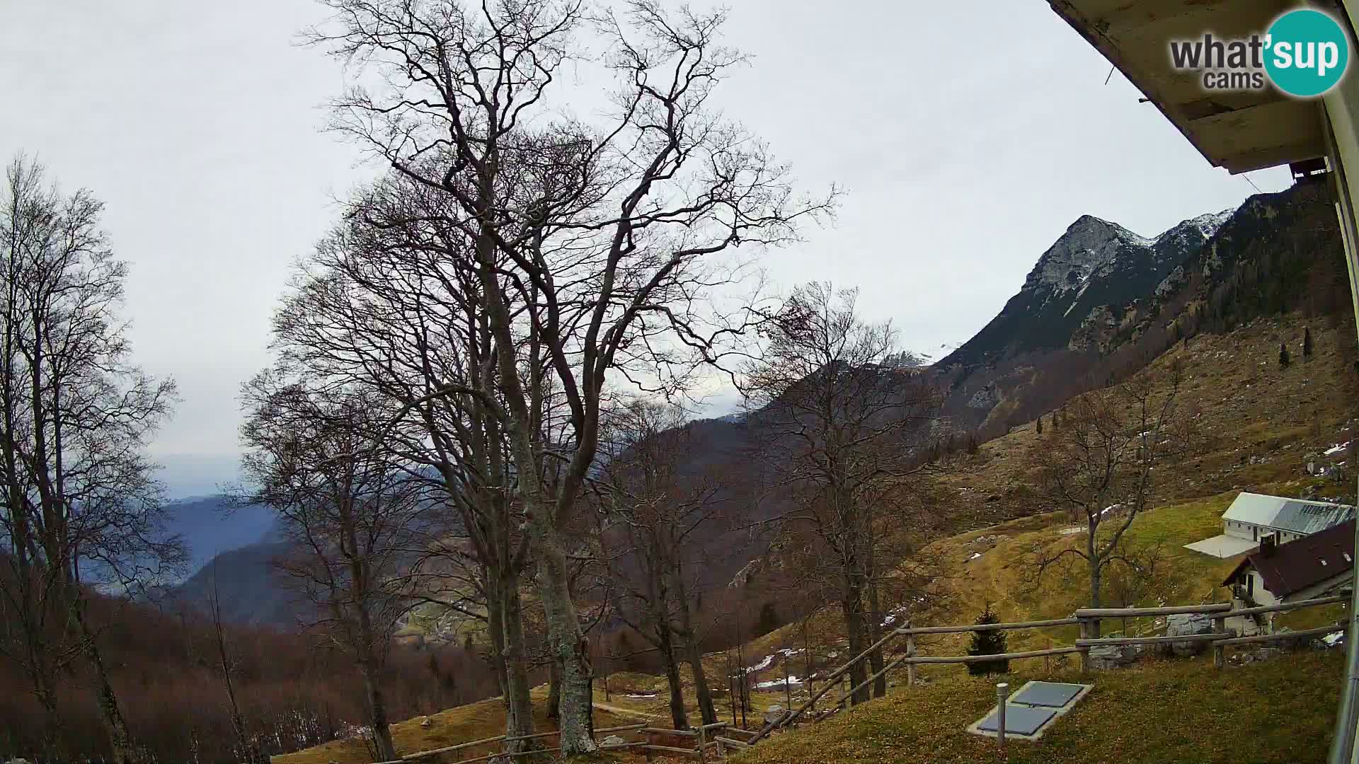 Cámara en vivo de la cabaña de montaña Planina Razor (1315) | vista hacia Tolminski Migovec
