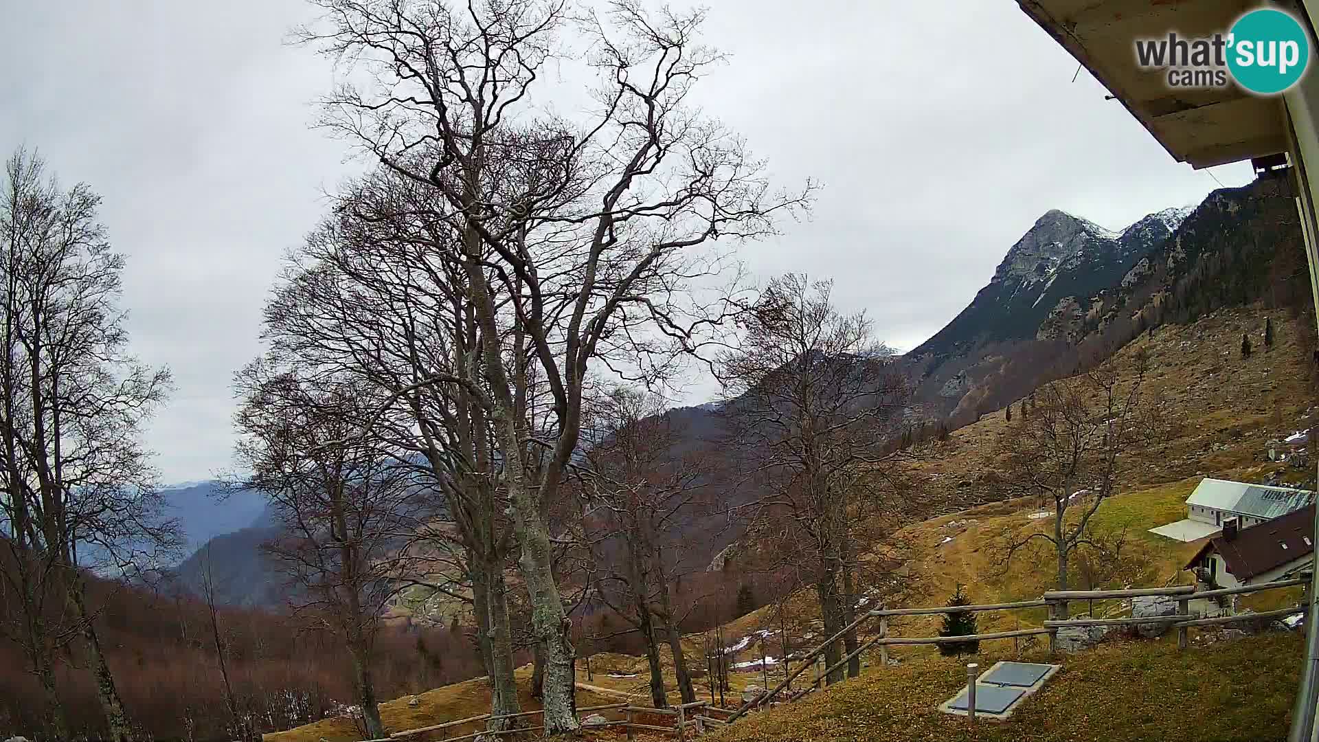Cámara en vivo de la cabaña de montaña Planina Razor (1315) | vista hacia Tolminski Migovec