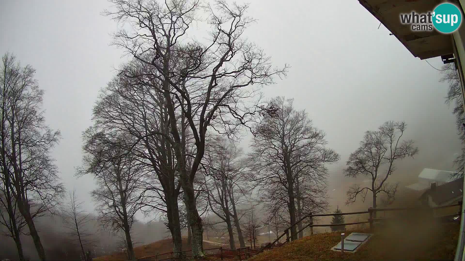 Refuge de la montagne Planina Razor caméra en direct (1315) | vue sur Tolminski Migovec