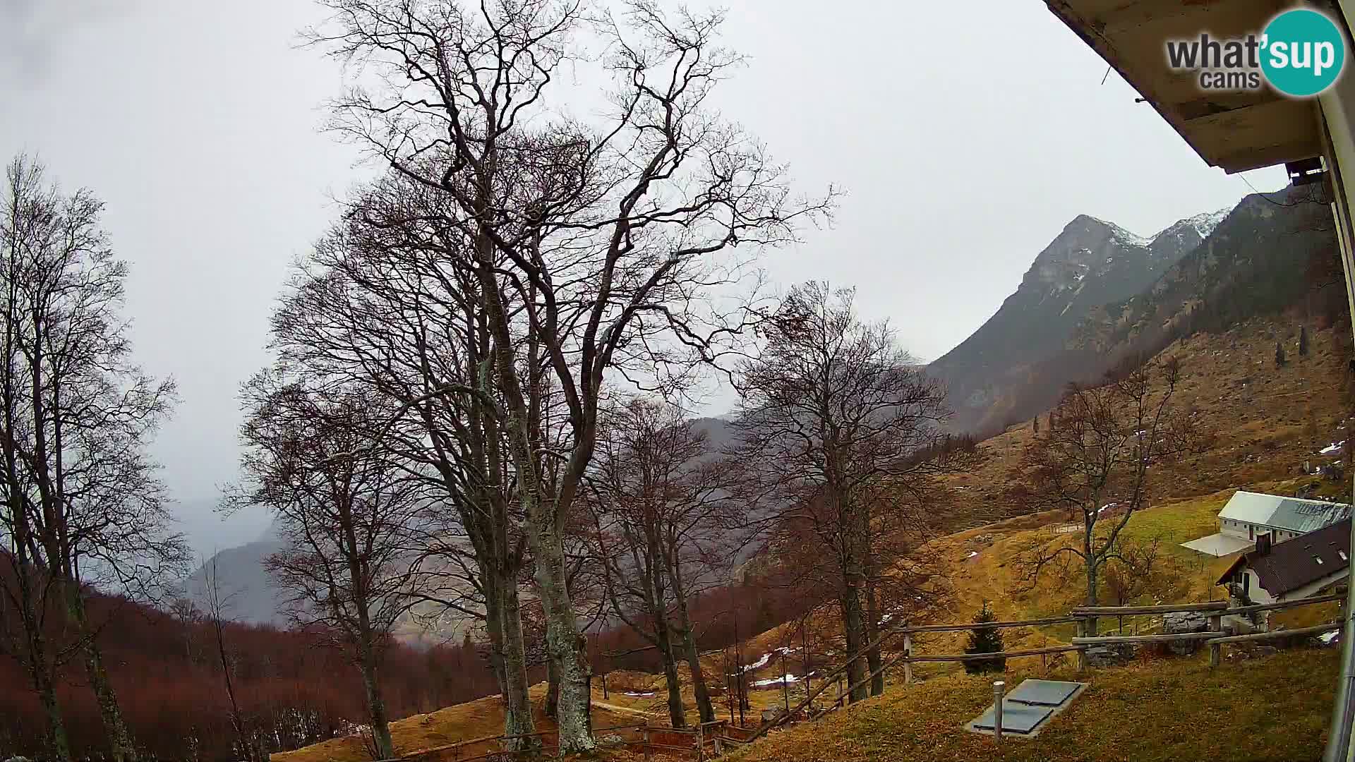 Cámara en vivo de la cabaña de montaña Planina Razor (1315) | vista hacia Tolminski Migovec