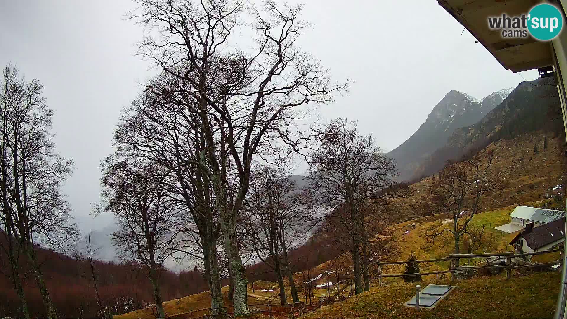 Planina Razor Bergütte Webcam (1315) | Blick auf Tolminski Migovec