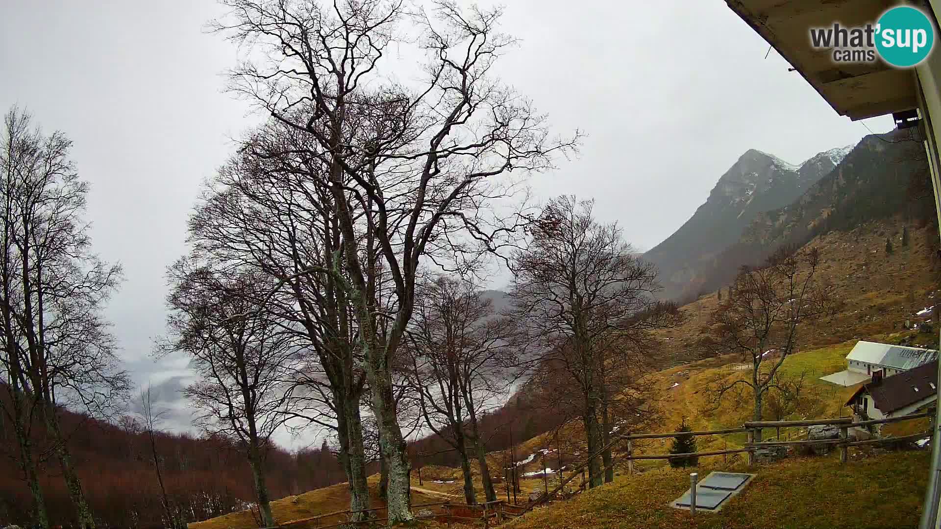 Planina Razor Bergütte Webcam (1315) | Blick auf Tolminski Migovec