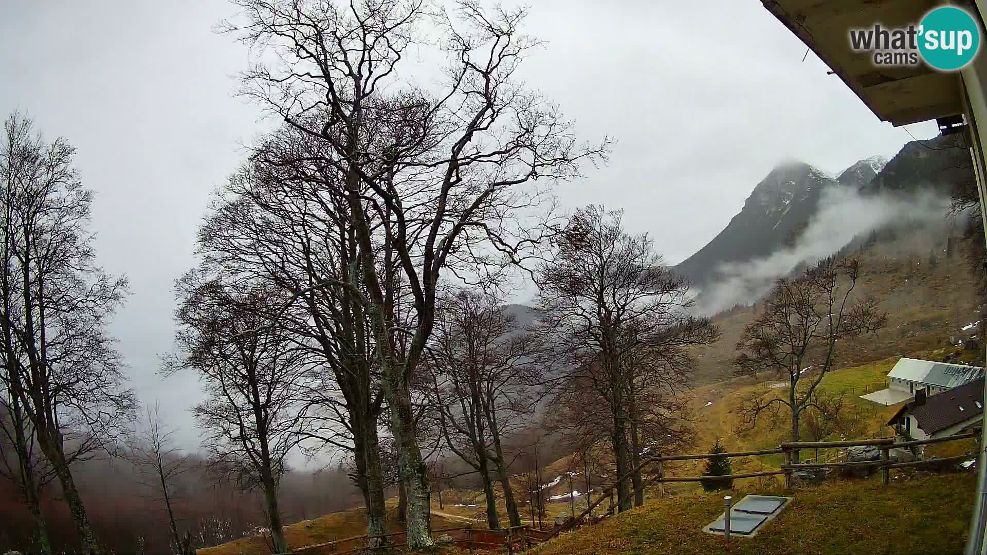 Planina Razor Mountain Hut live cam (1315) | view to Tolminski Migovec