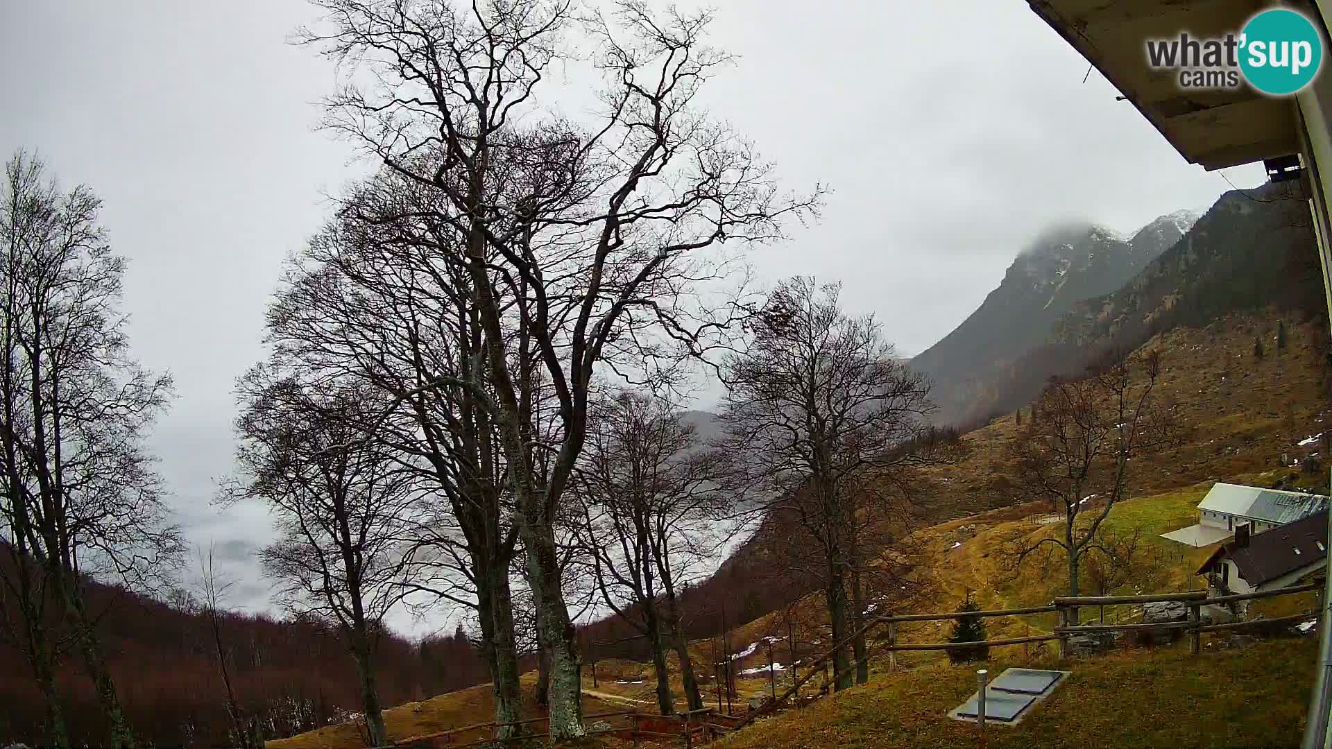 Planina Razor Bergütte Webcam (1315) | Blick auf Tolminski Migovec