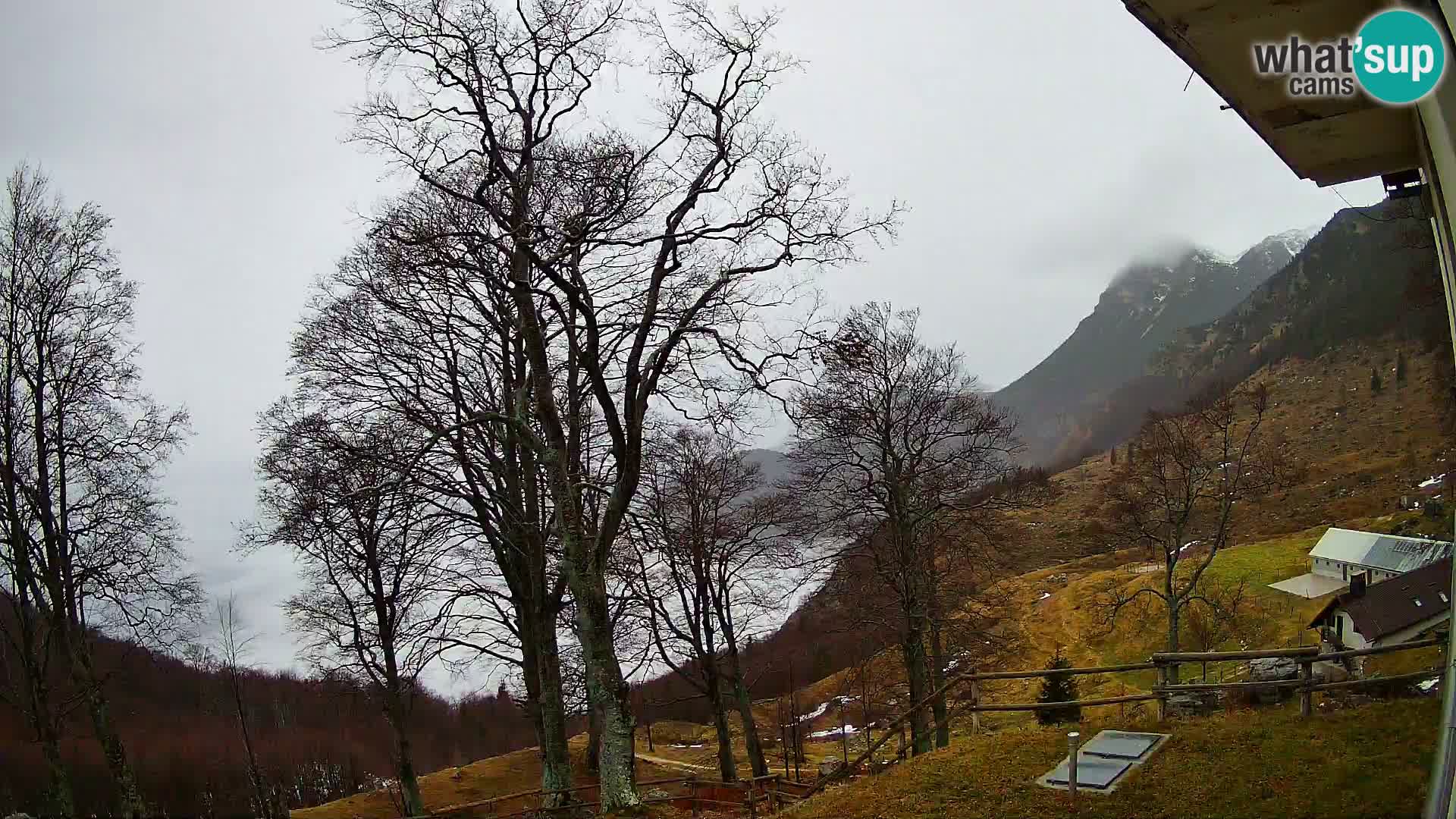 Planina Razor Bergütte Webcam (1315) | Blick auf Tolminski Migovec