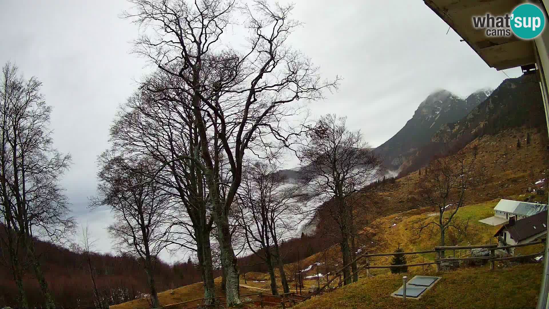 Baita di montagna Planina Razor webcam (1315) | vista su Tolminski Migovec