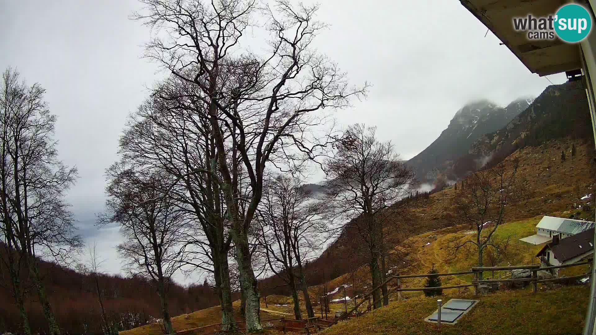 Planina Razor Mountain Hut live cam (1315) | view to Tolminski Migovec