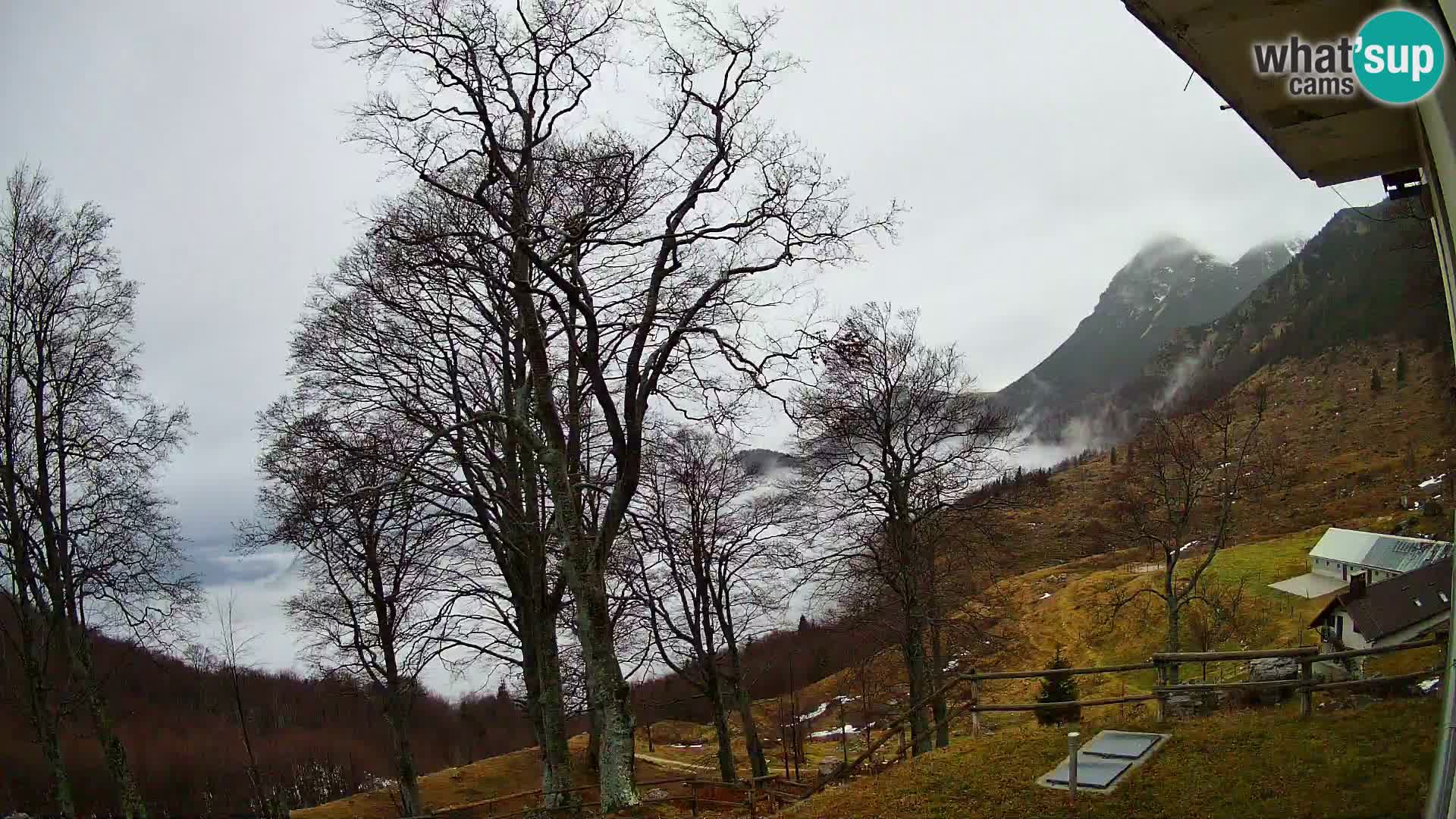 Planina Razor Mountain Hut live cam (1315) | view to Tolminski Migovec