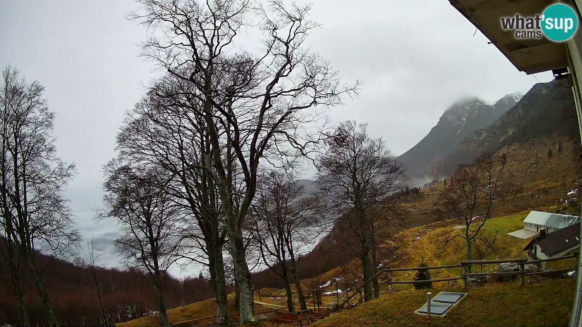 Planina Razor Bergütte Webcam (1315) | Blick auf Tolminski Migovec