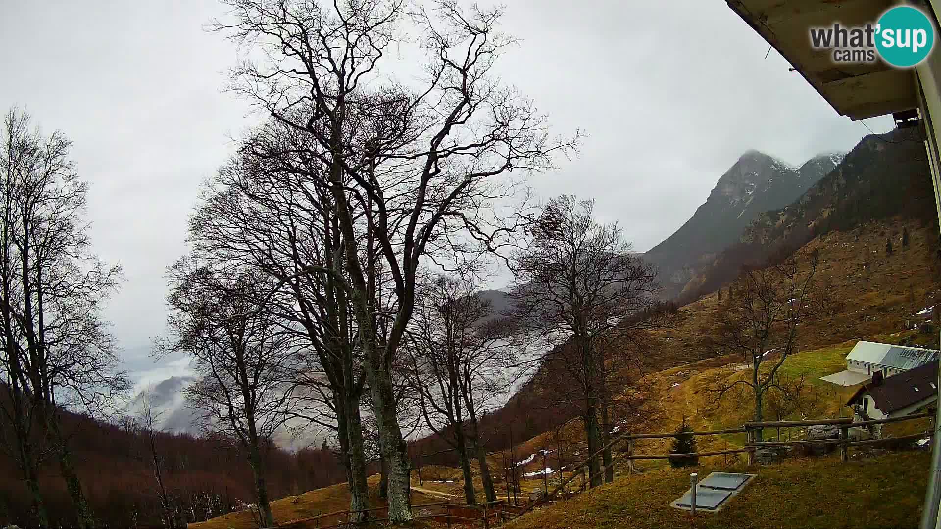 Planina Razor Mountain Hut live cam (1315) | view to Tolminski Migovec