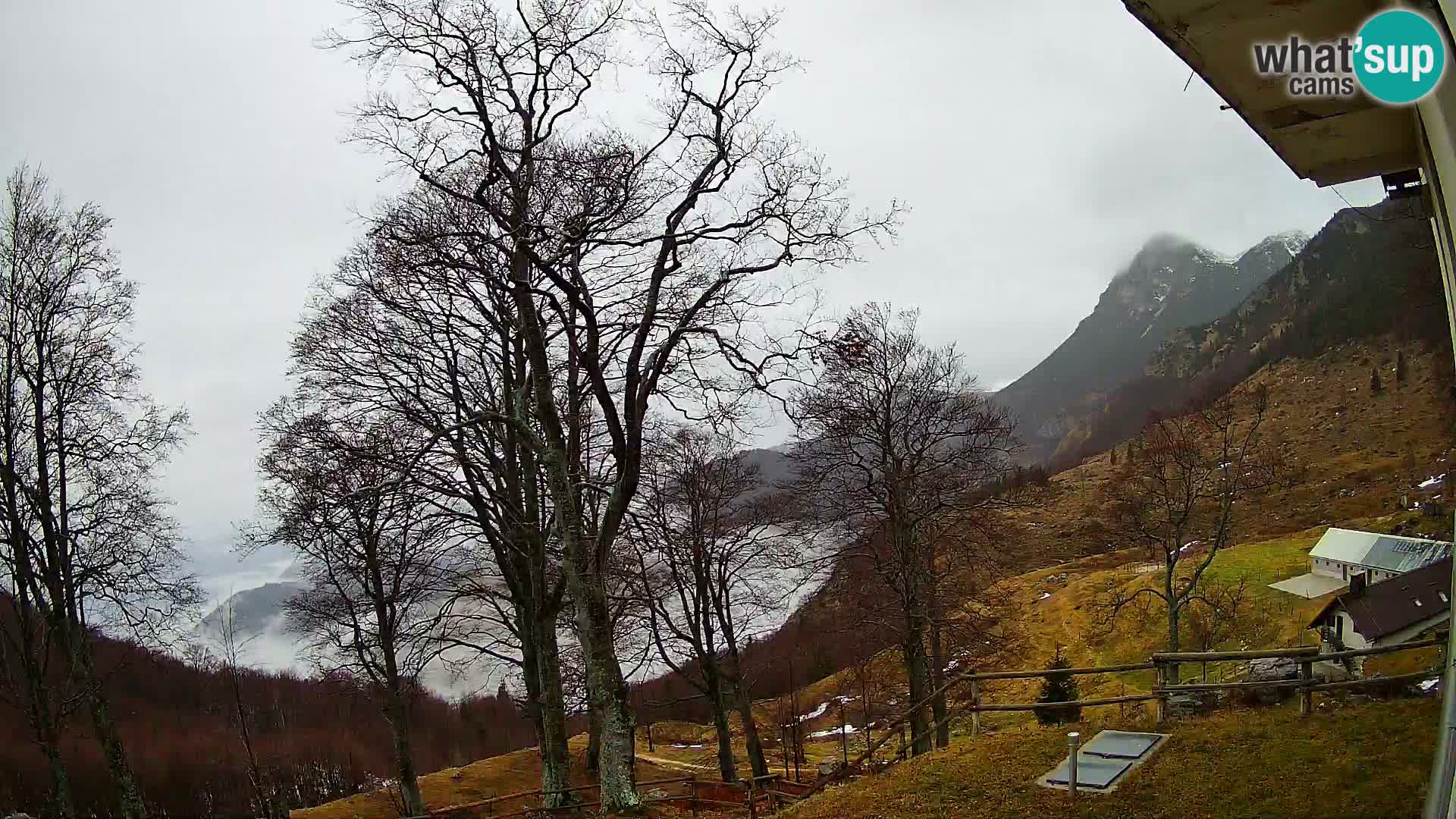 Planina Razor Mountain Hut live cam (1315) | view to Tolminski Migovec