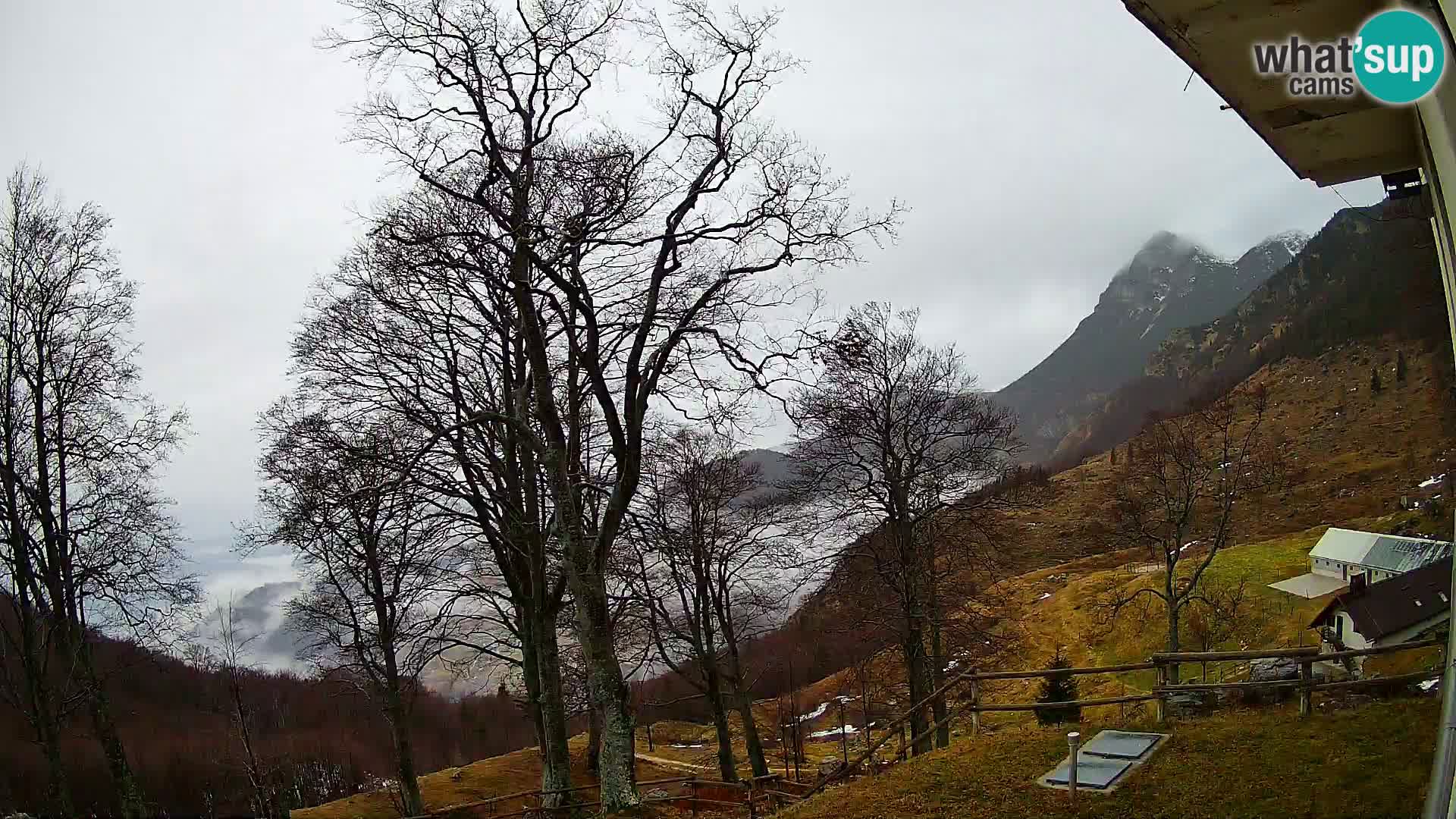 Cámara en vivo de la cabaña de montaña Planina Razor (1315) | vista hacia Tolminski Migovec
